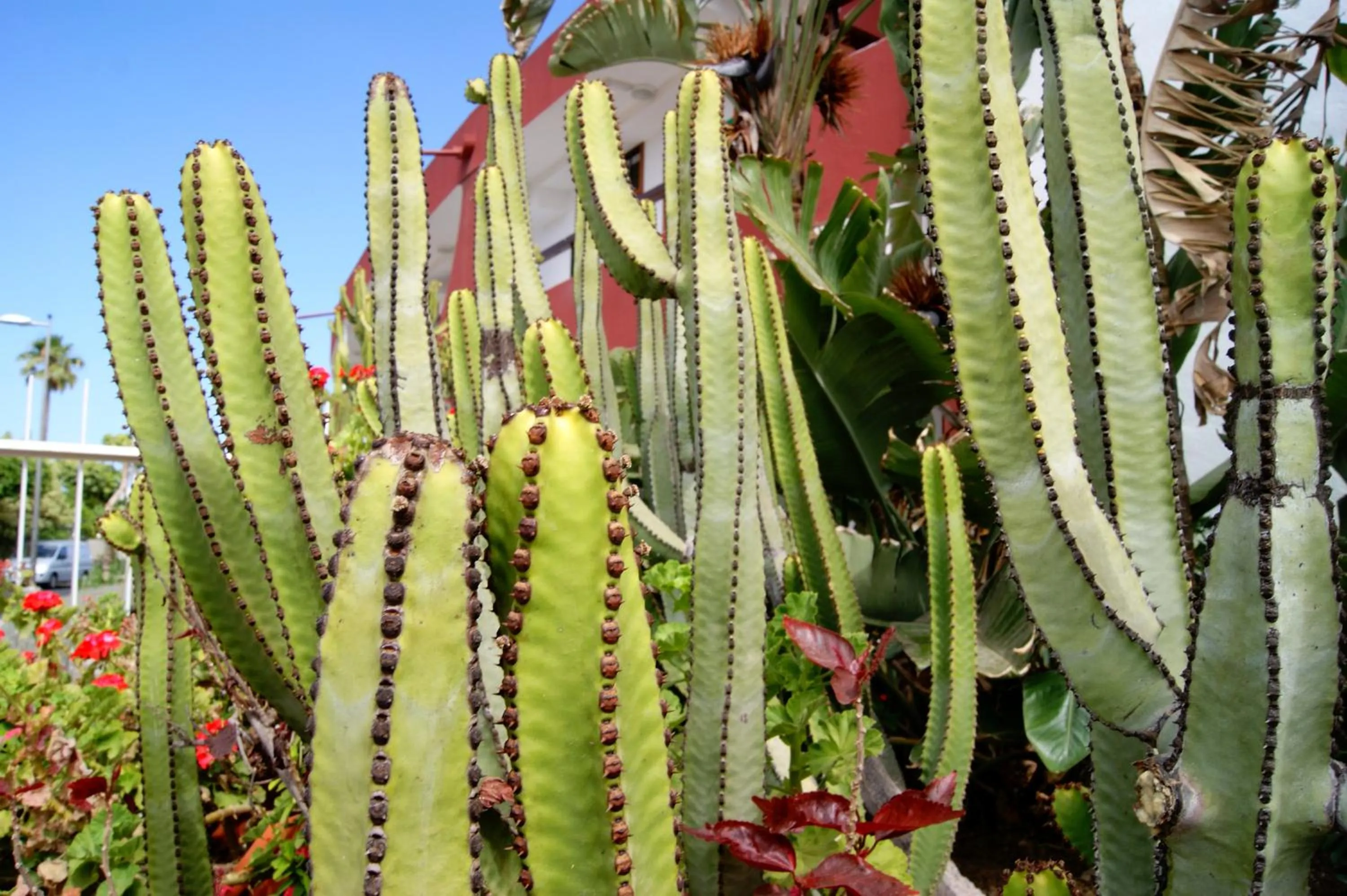 Day in Apartamentos Ecuador