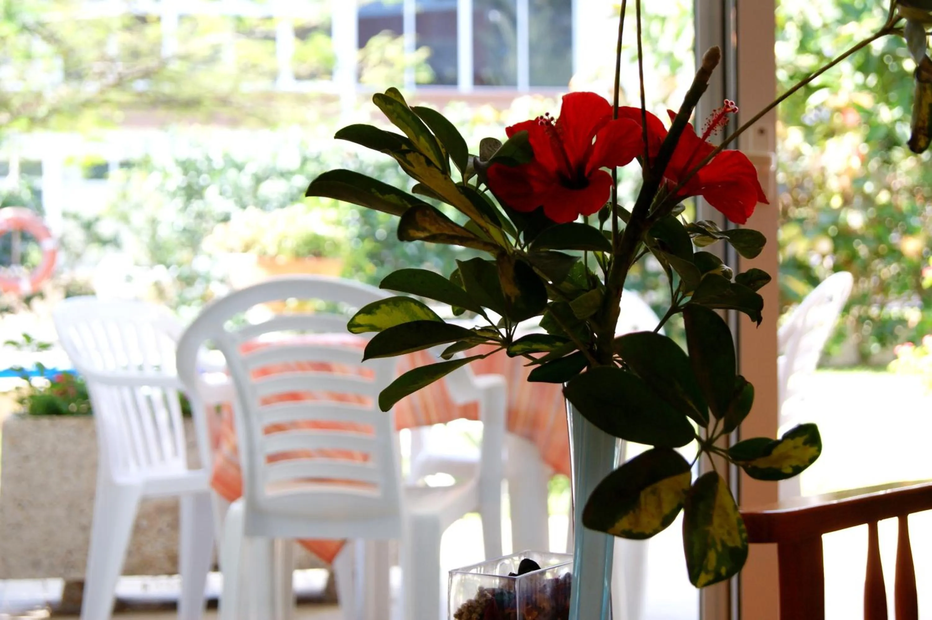 Patio in Apartamentos Ecuador