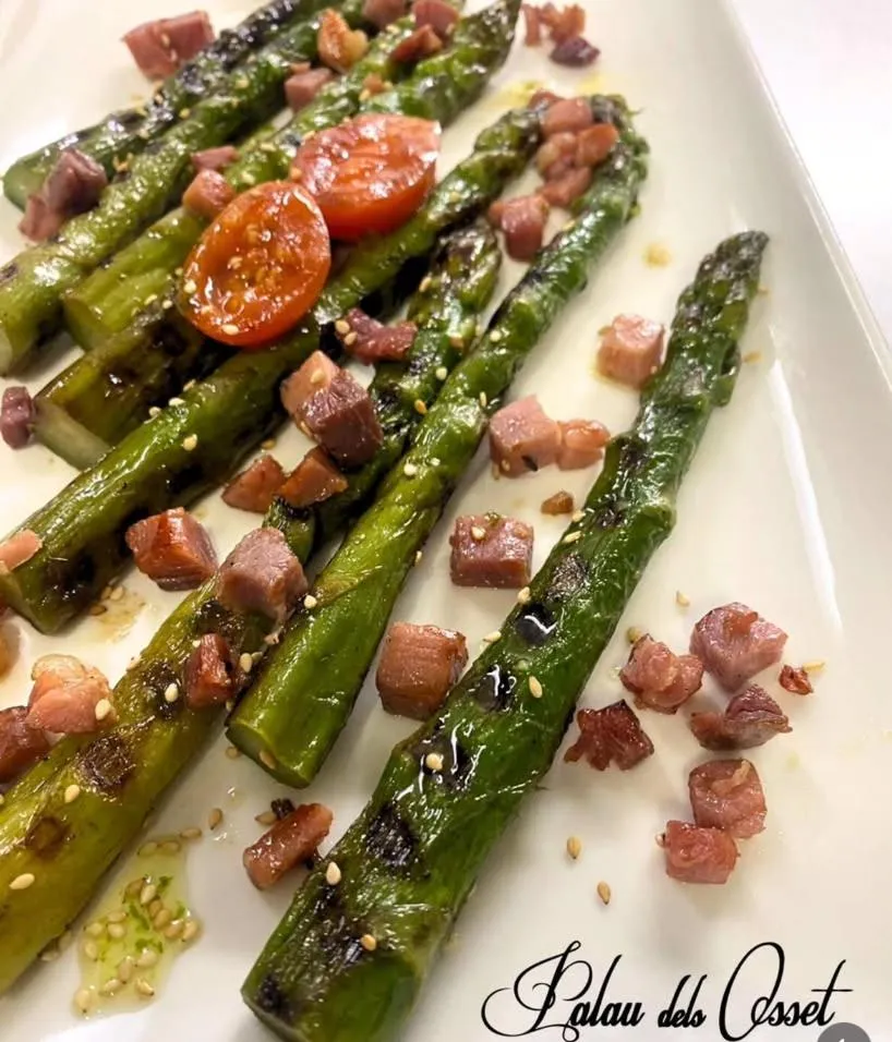 Hotel Palau dels Osset