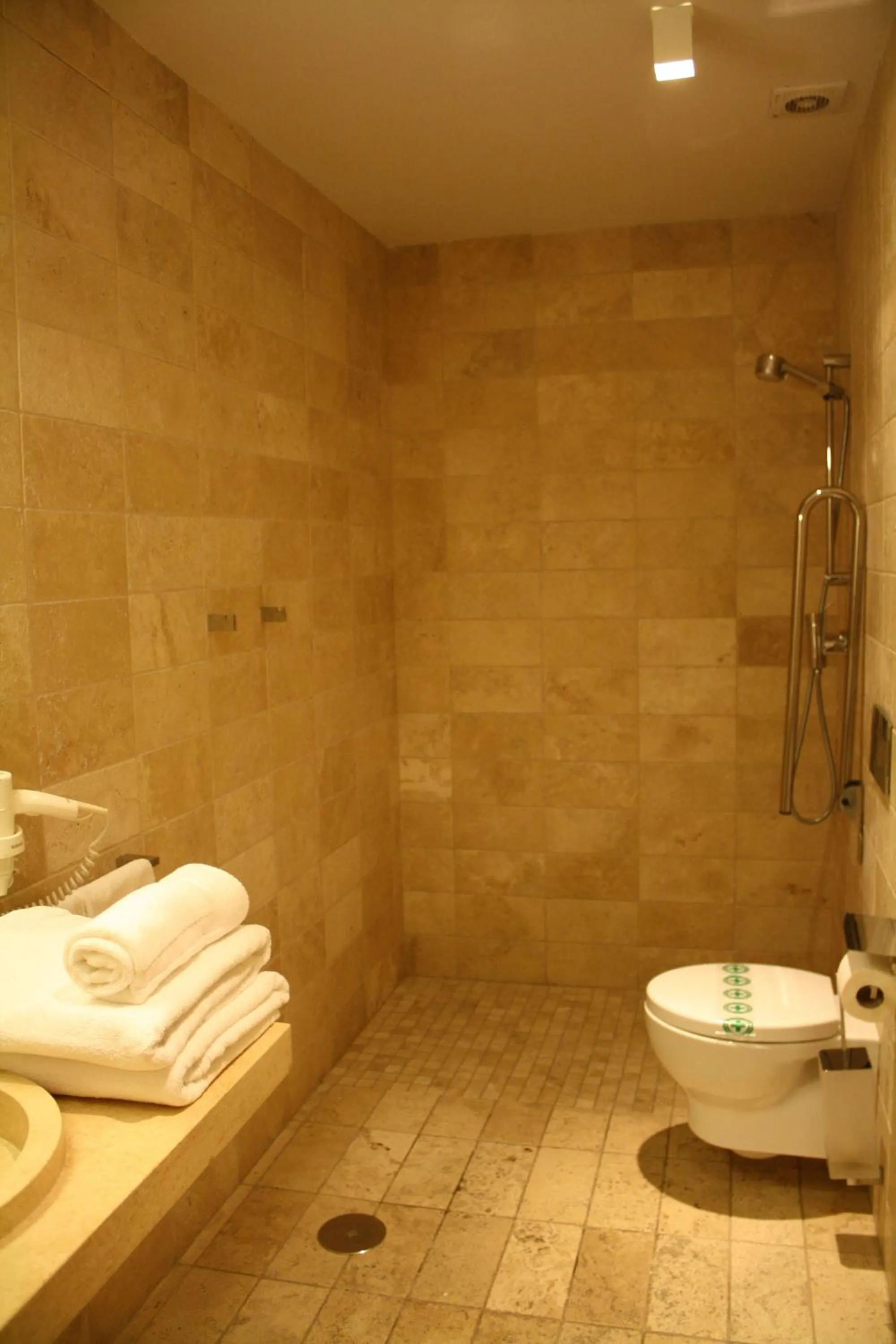 Hotel Palau dels Osset