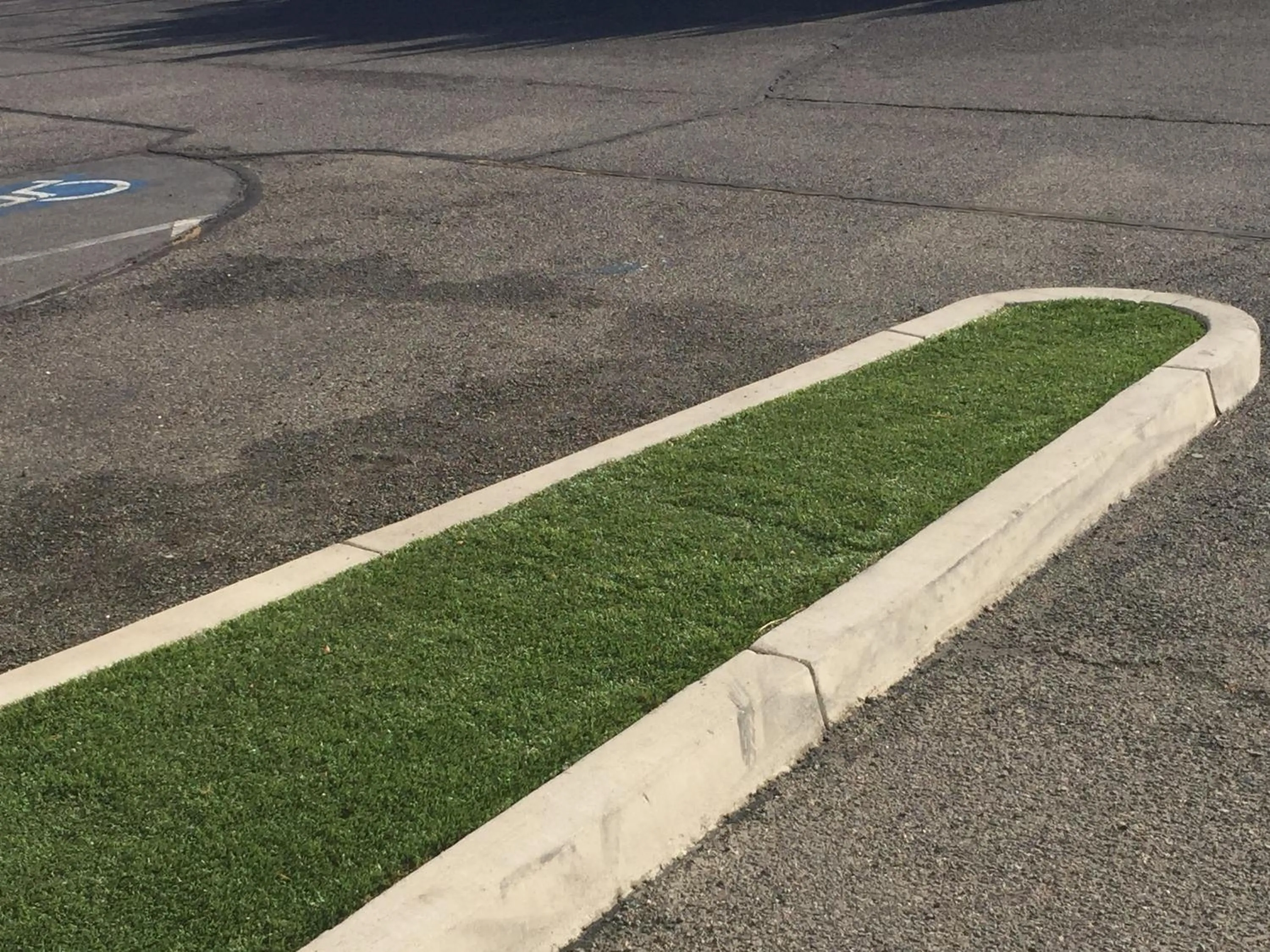 Garden in Super 8 by Wyndham Carson City Lake Tahoe