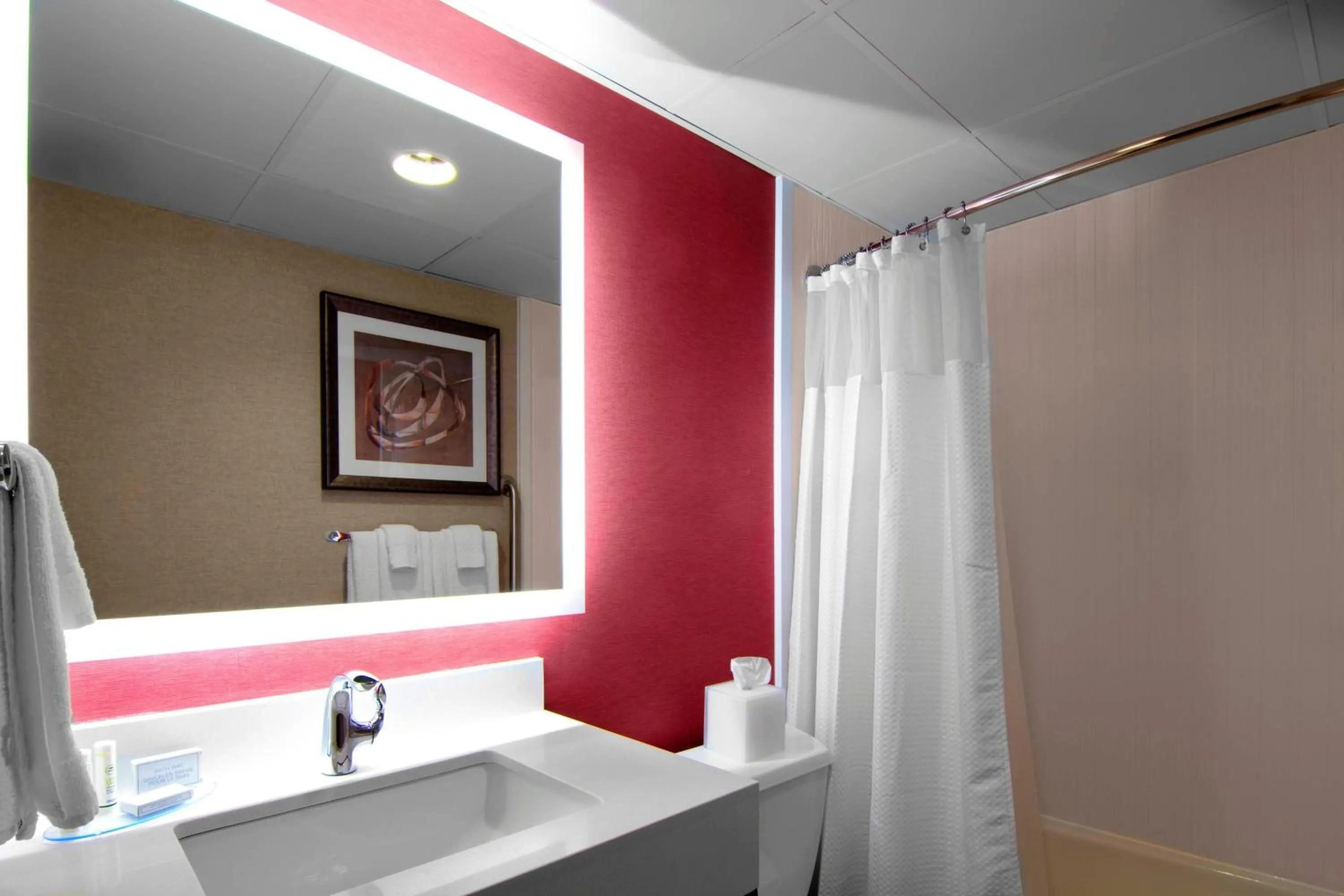 Bathroom in Courtyard by Marriott St. Cloud