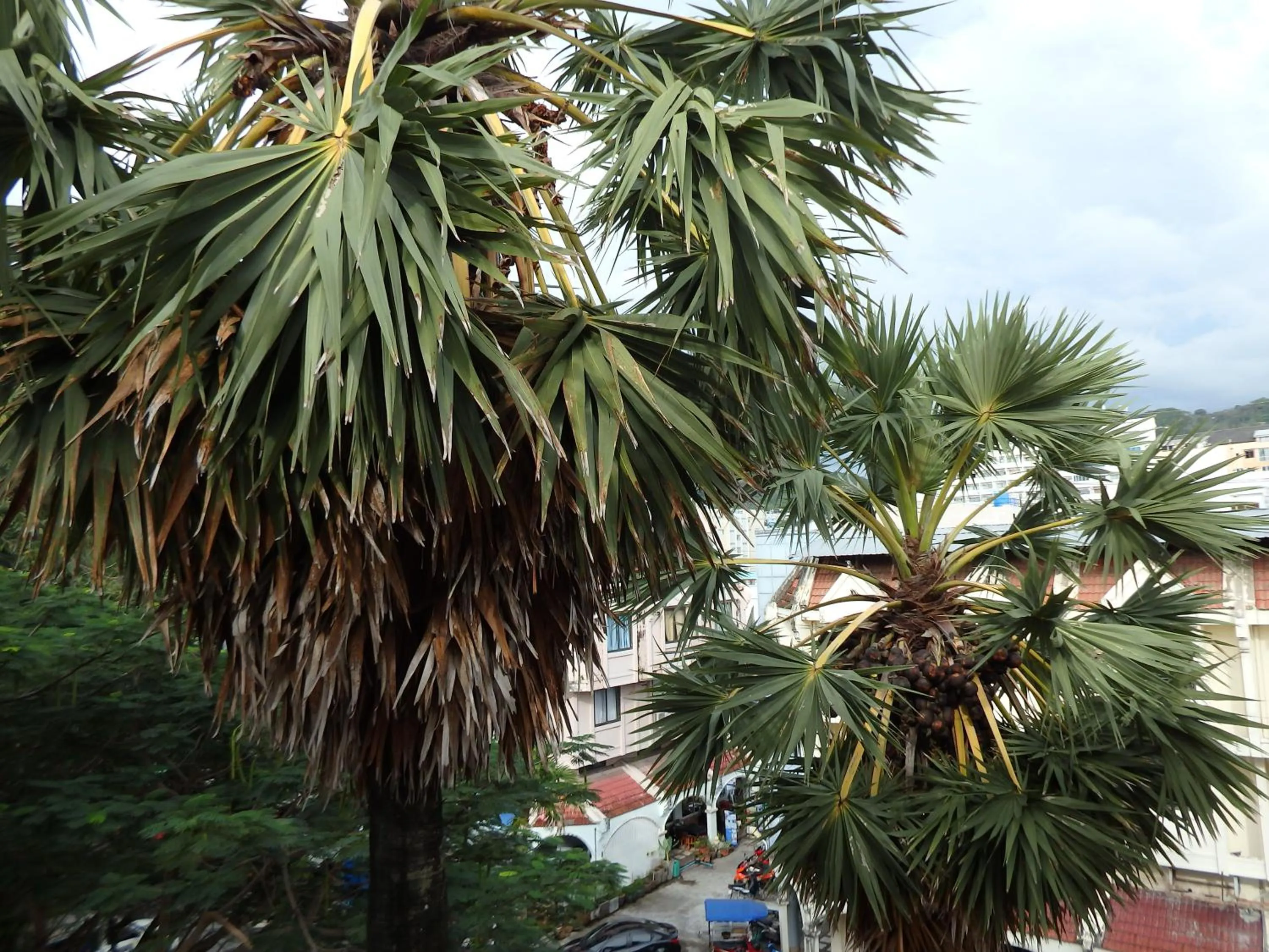 View (from property/room) in Boomerang Inn