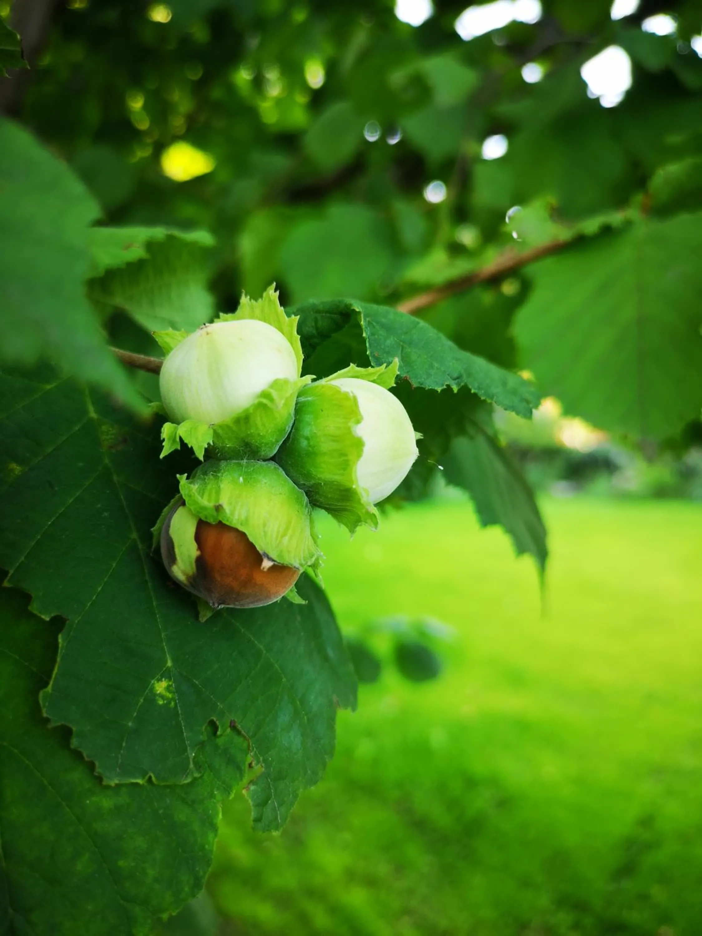 Garden in Alloggio del Fiume - Le Vecchie Vasche