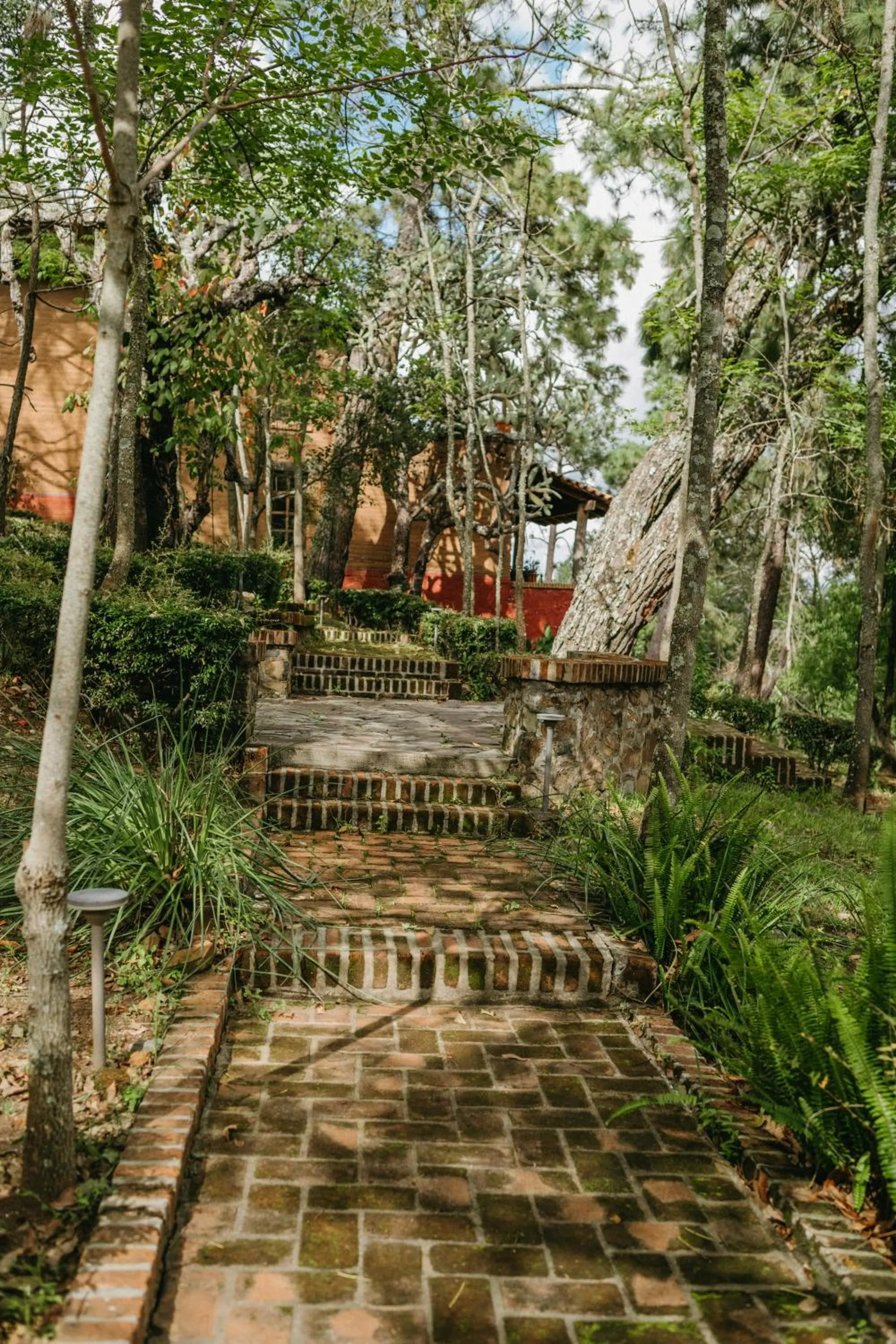 Off site in Tapalpa Country Club Hotel