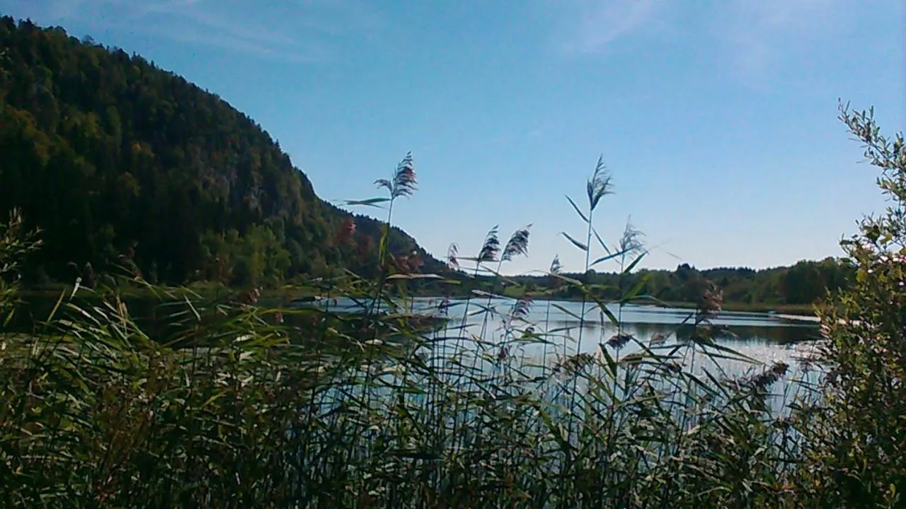 Chambre d'hôtes Comme une évidence Clairvaux-les-lacs