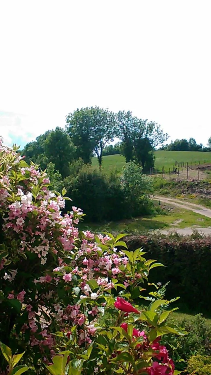 Natural landscape in Chambre d'hôtes Comme une évidence Clairvaux-les-lacs