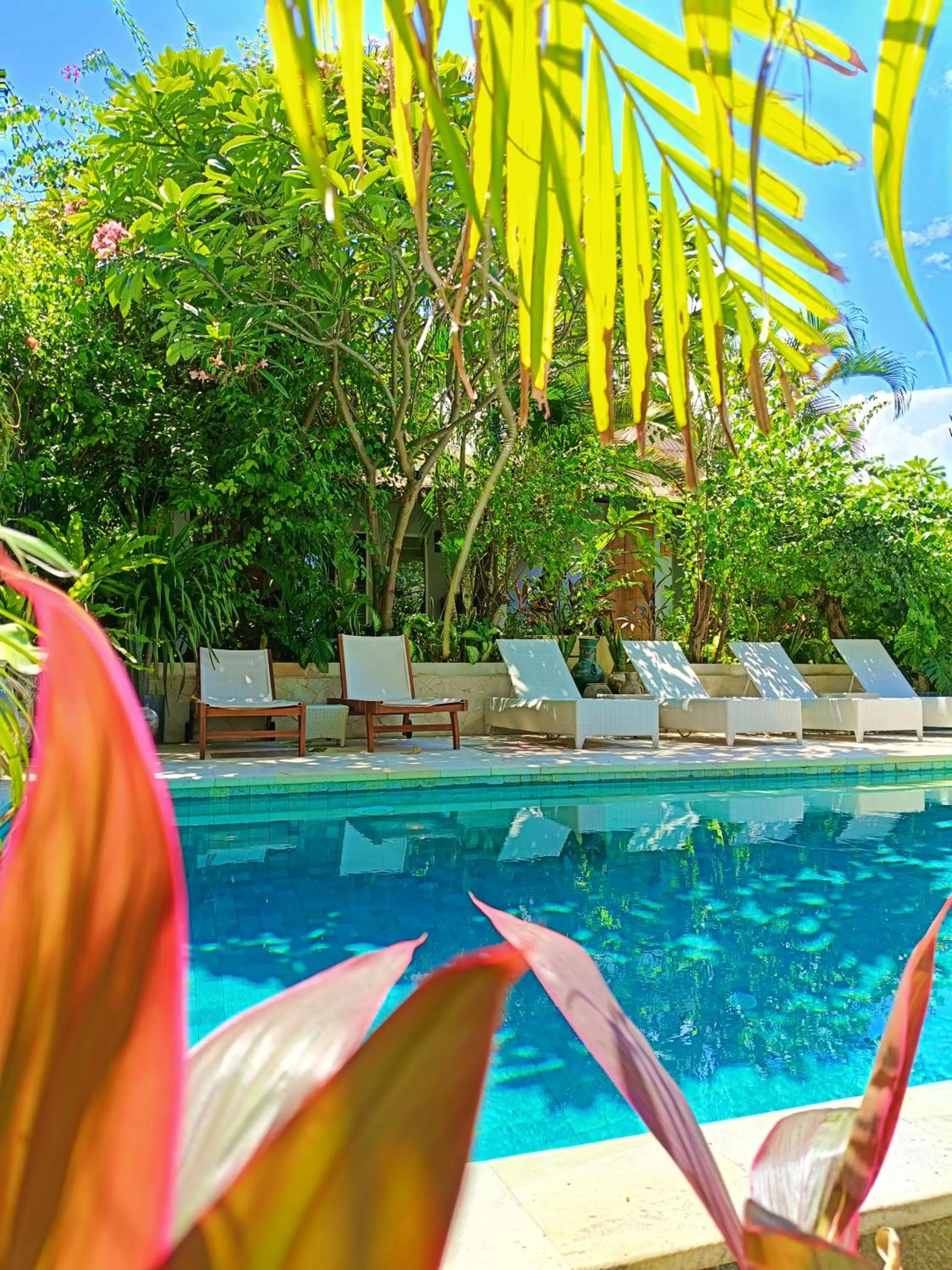 Pool view in Bale Sampan Boutique Bungalows