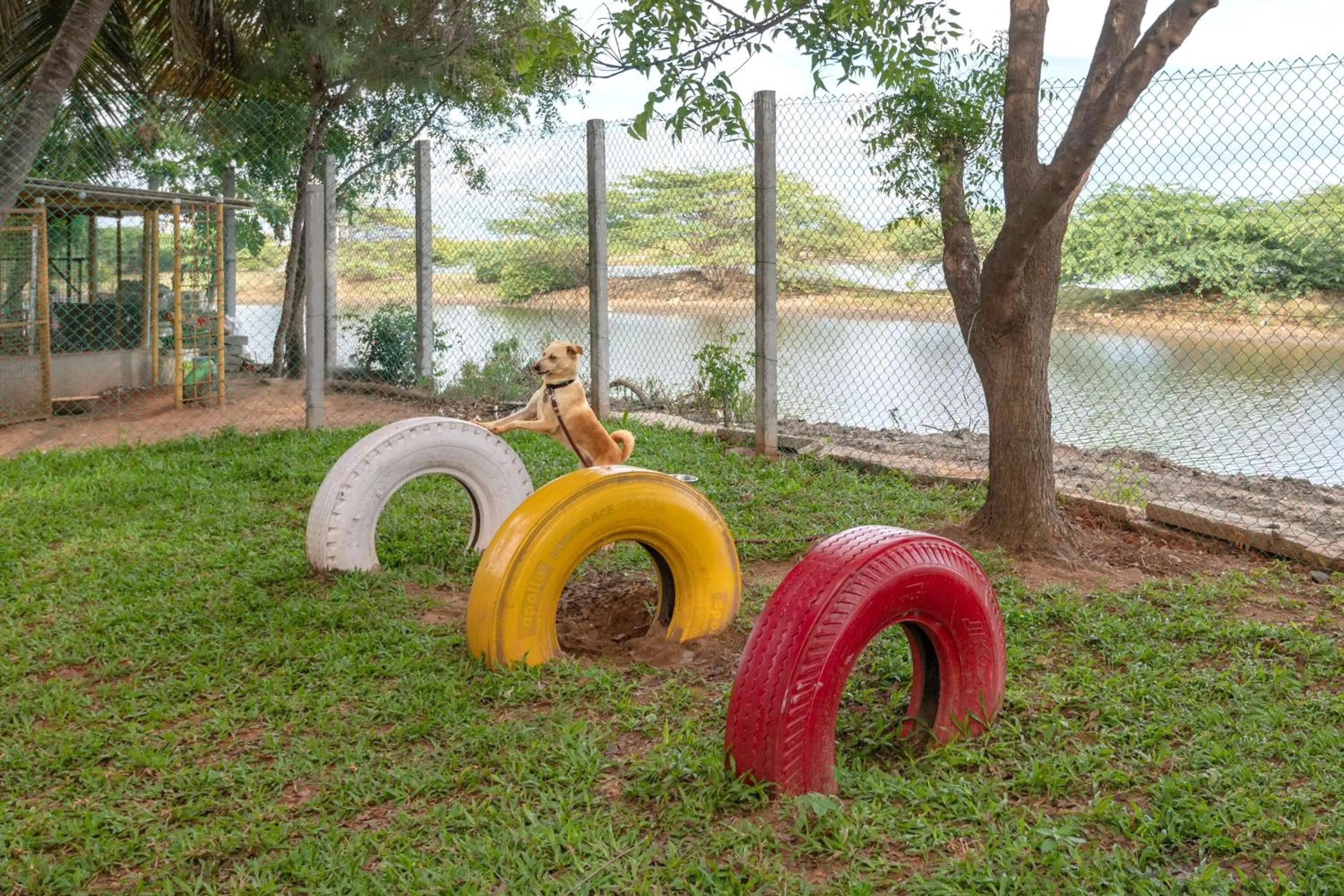 Property building in Radisson Resort Pondicherry Bay