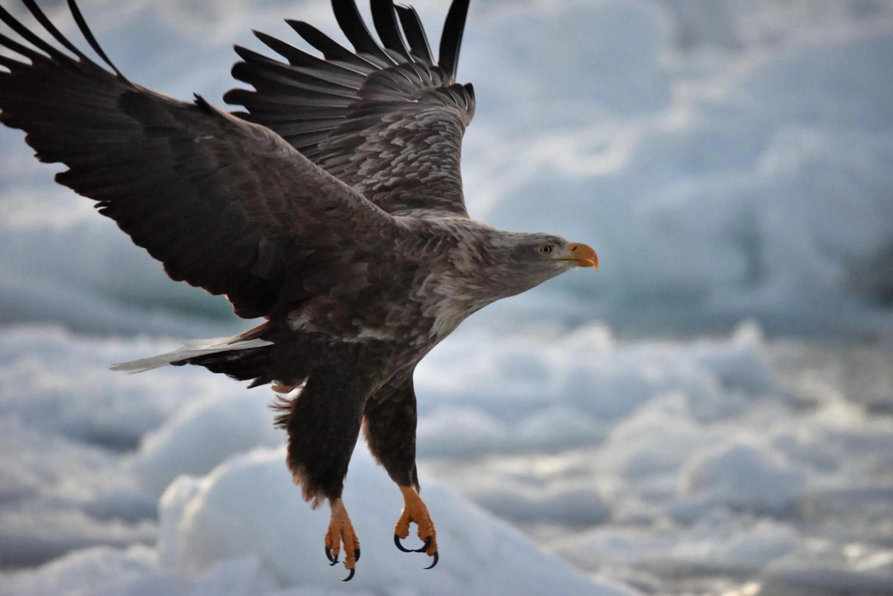 Winter in Shiretokoserai