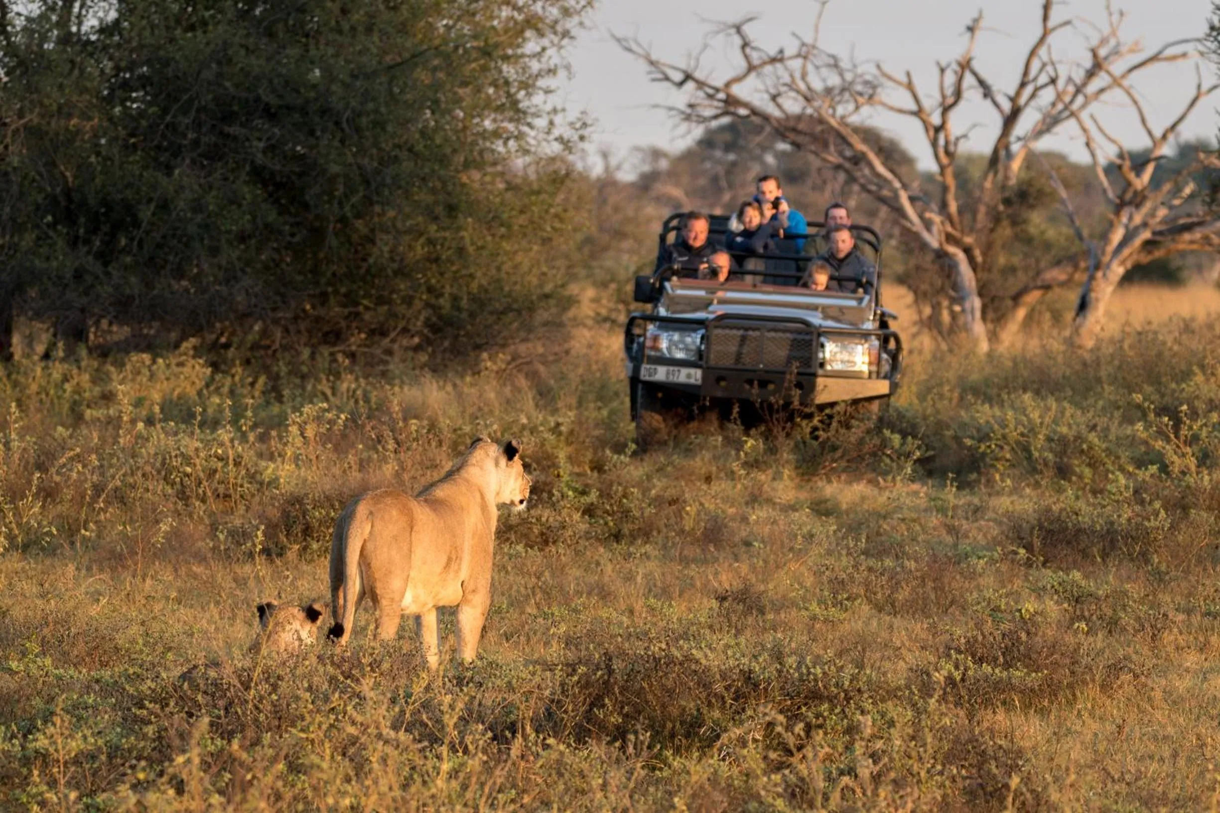 Activities in Marataba Mountain Lodge