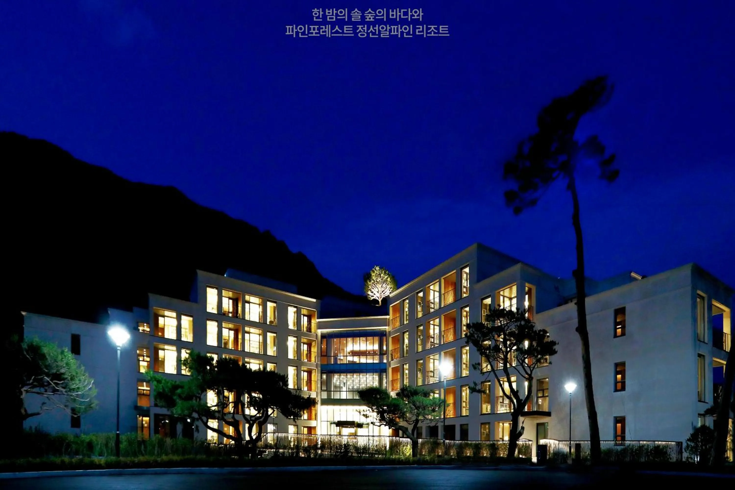 Pine Forest Jeongseon Alpine Resort