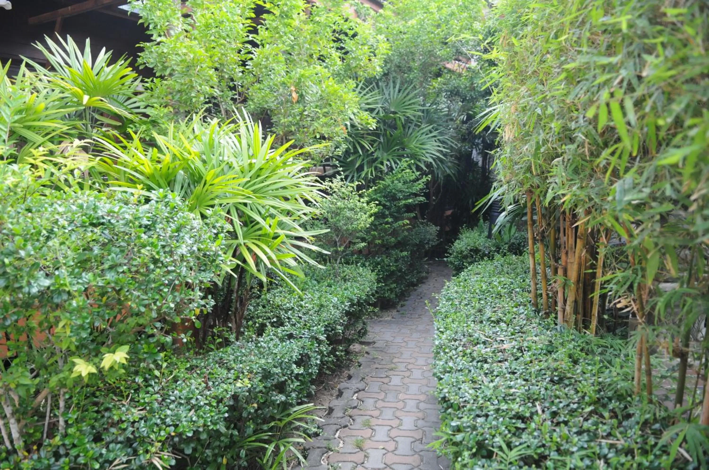 Nearby landmark in Phangan Paragon Resort & Spa by Pure Lifestyle