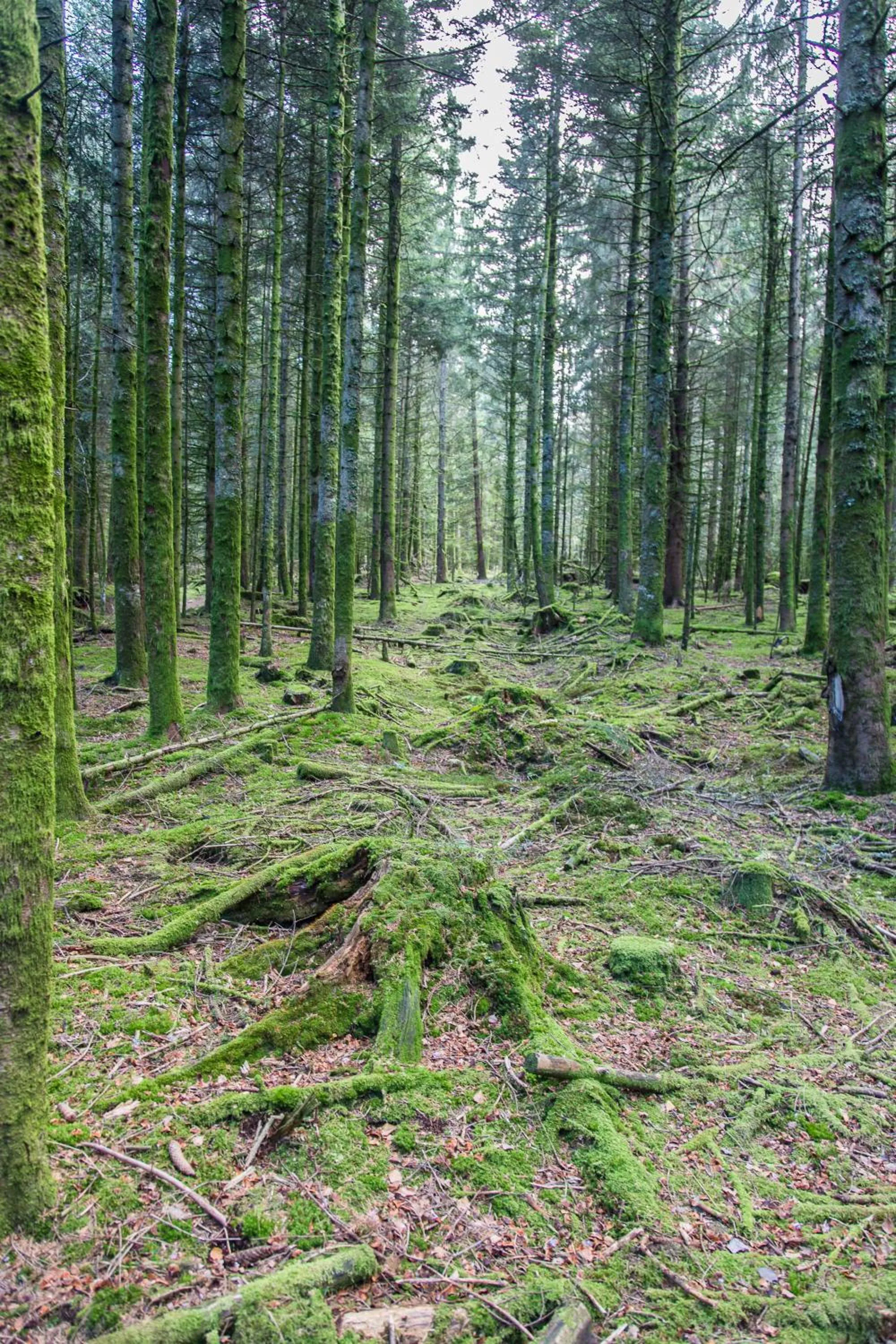 Hiking in Gîte Domaine des Iris