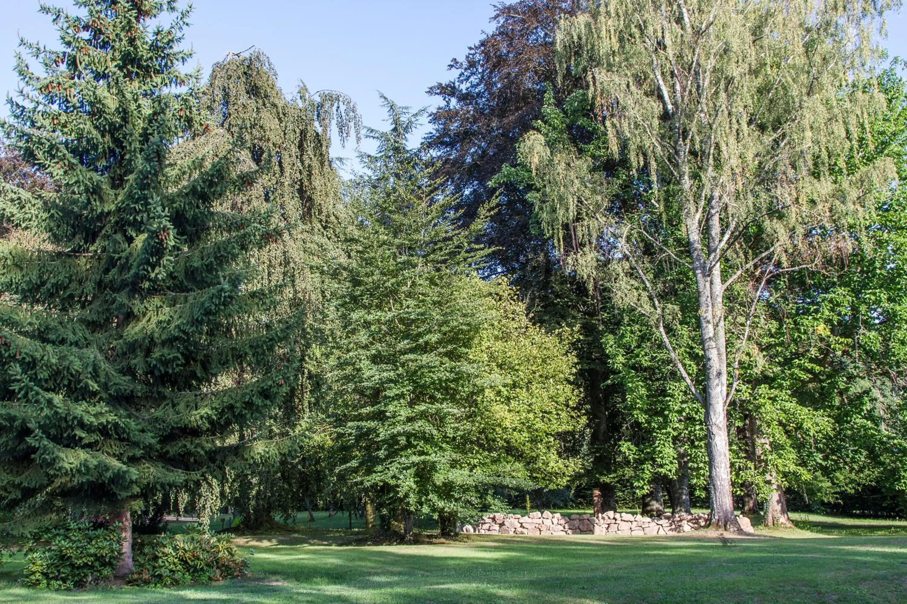 Garden in Gîte Domaine des Iris