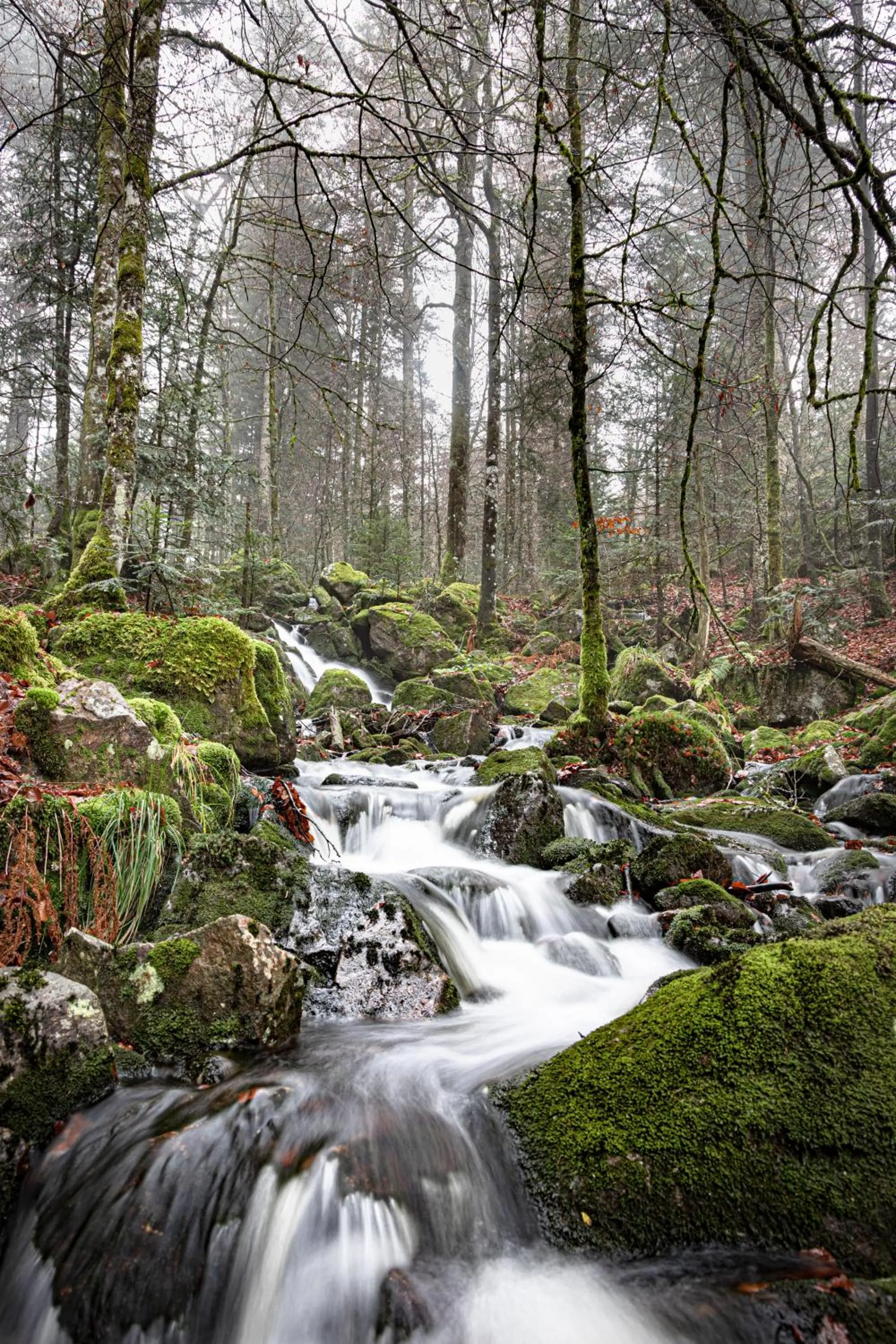 Hiking in Gîte Domaine des Iris