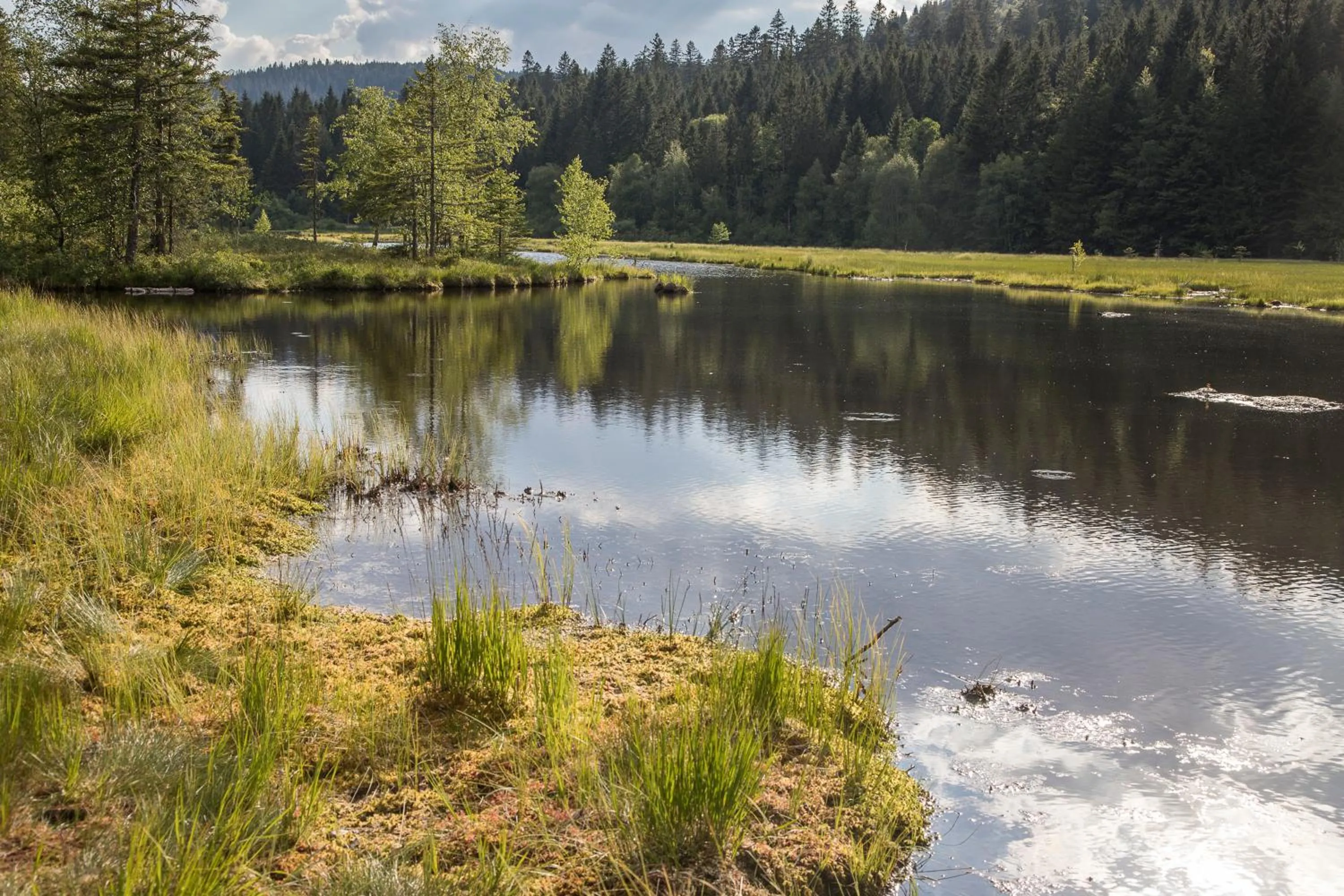 Hiking in Gîte Domaine des Iris