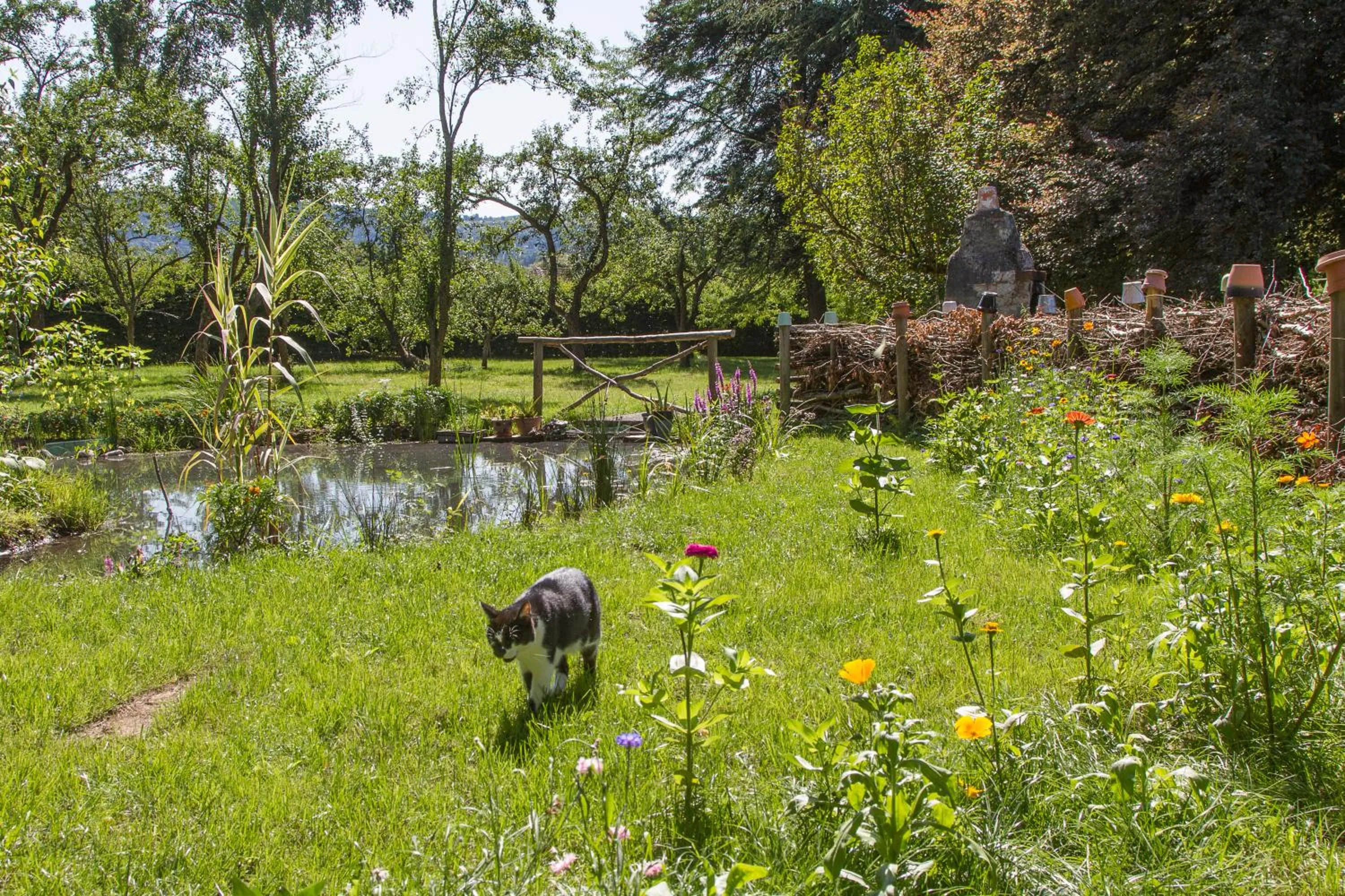 Garden in Gîte Domaine des Iris