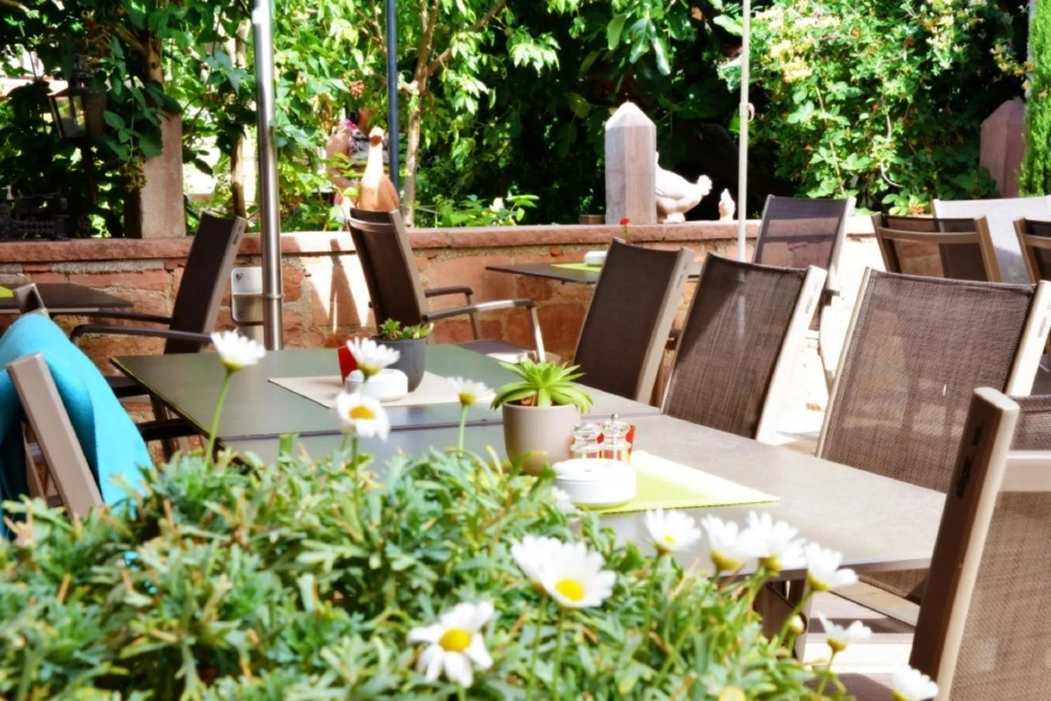 Restaurant/places to eat in Gasthaus Elsäßer Hof