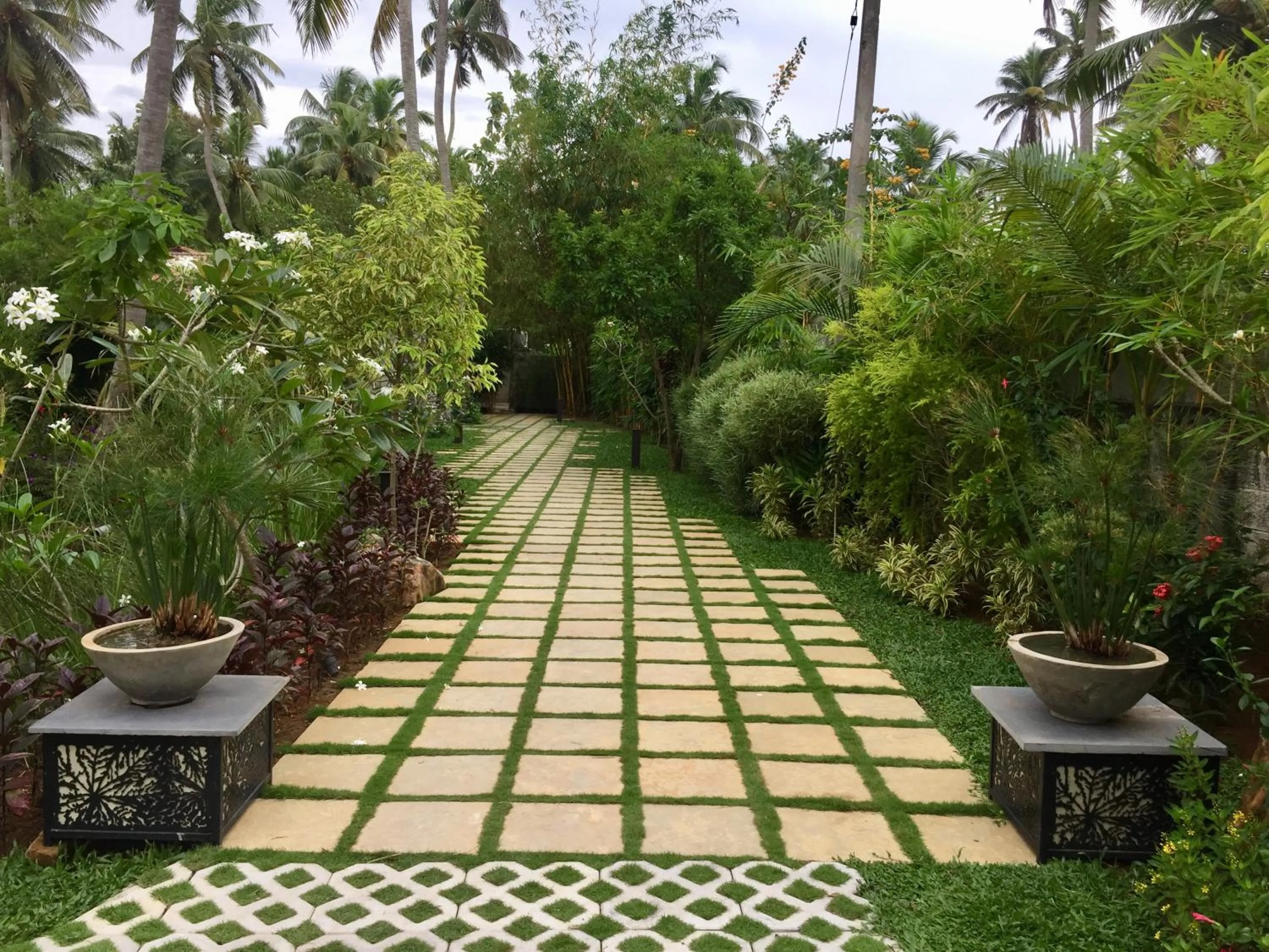 Natural landscape in 976 Panangad