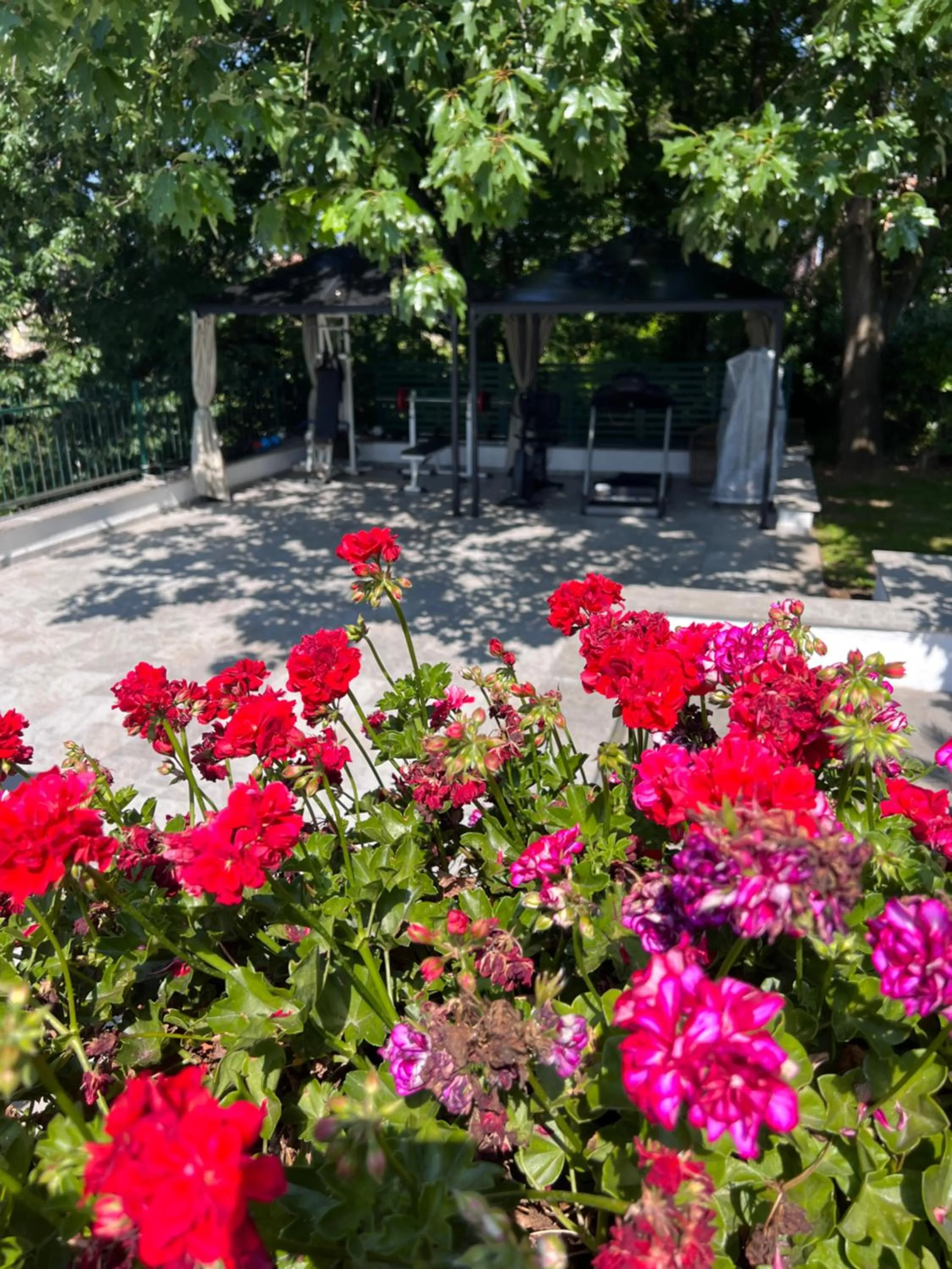 Garden view in Villa Albina