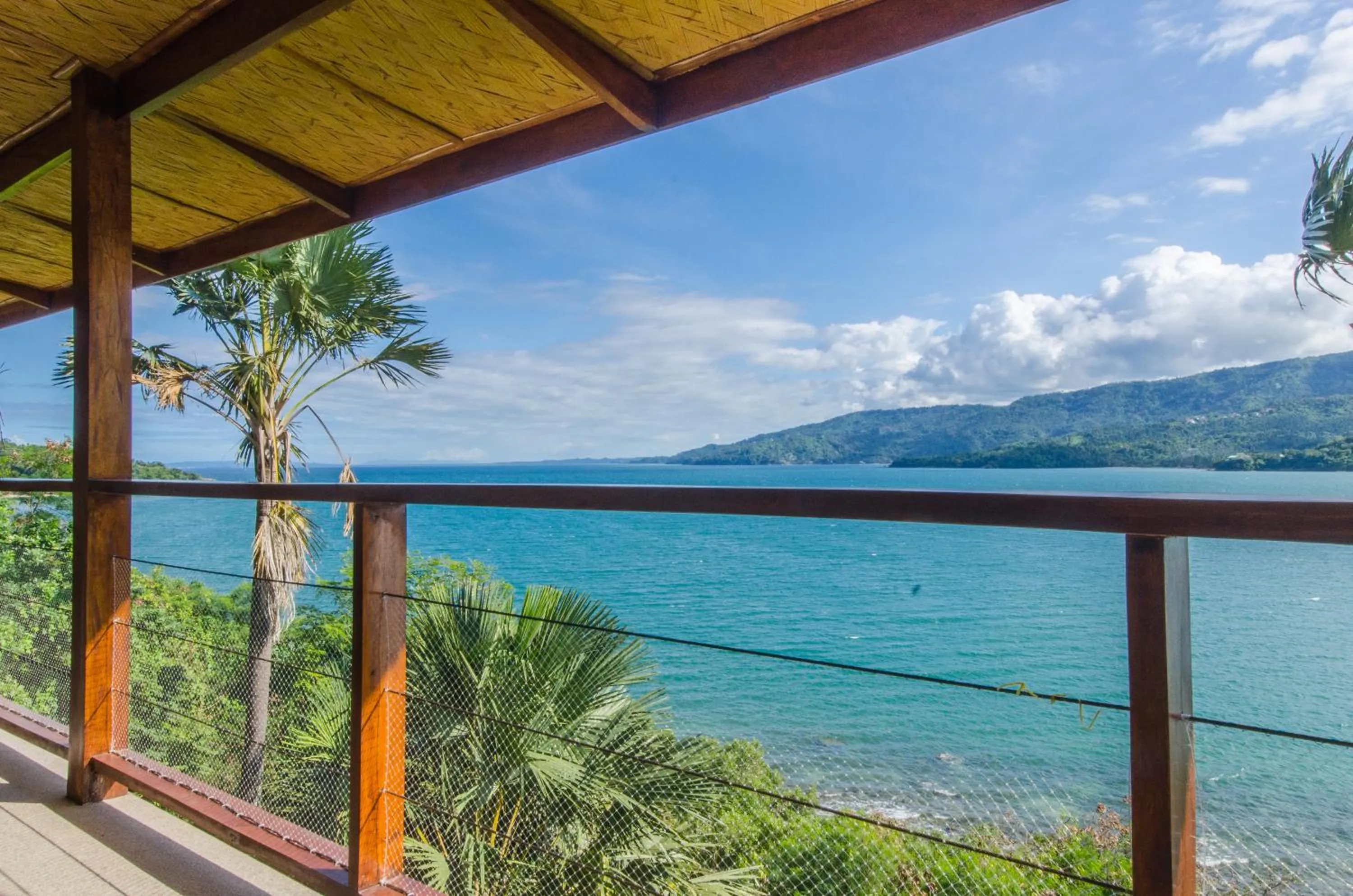 Garden in Villa de Pico Highland Beach Resort