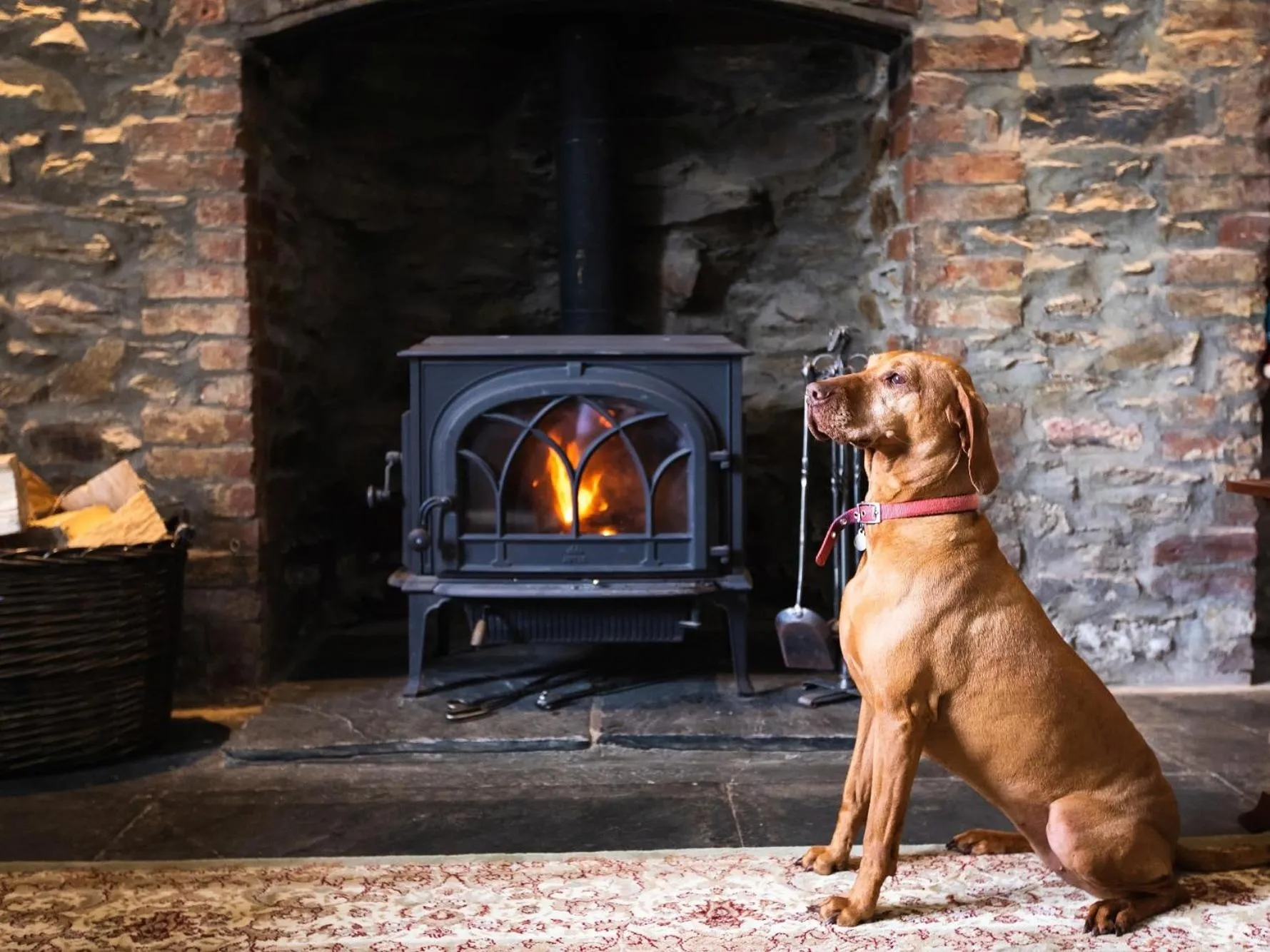 Living room in Pengelly Farmhouse B&B
