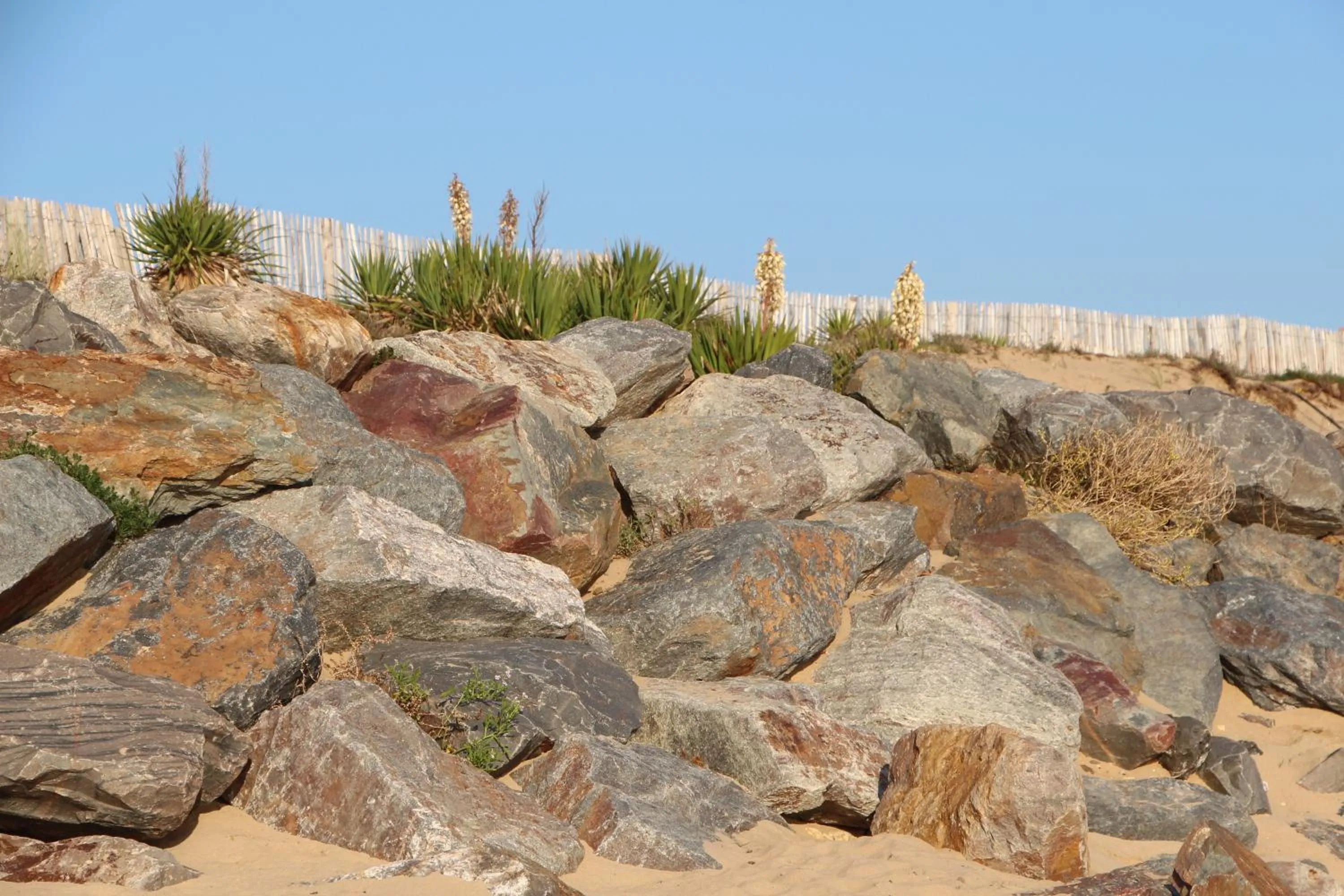 Day in Au Petit Bonheur