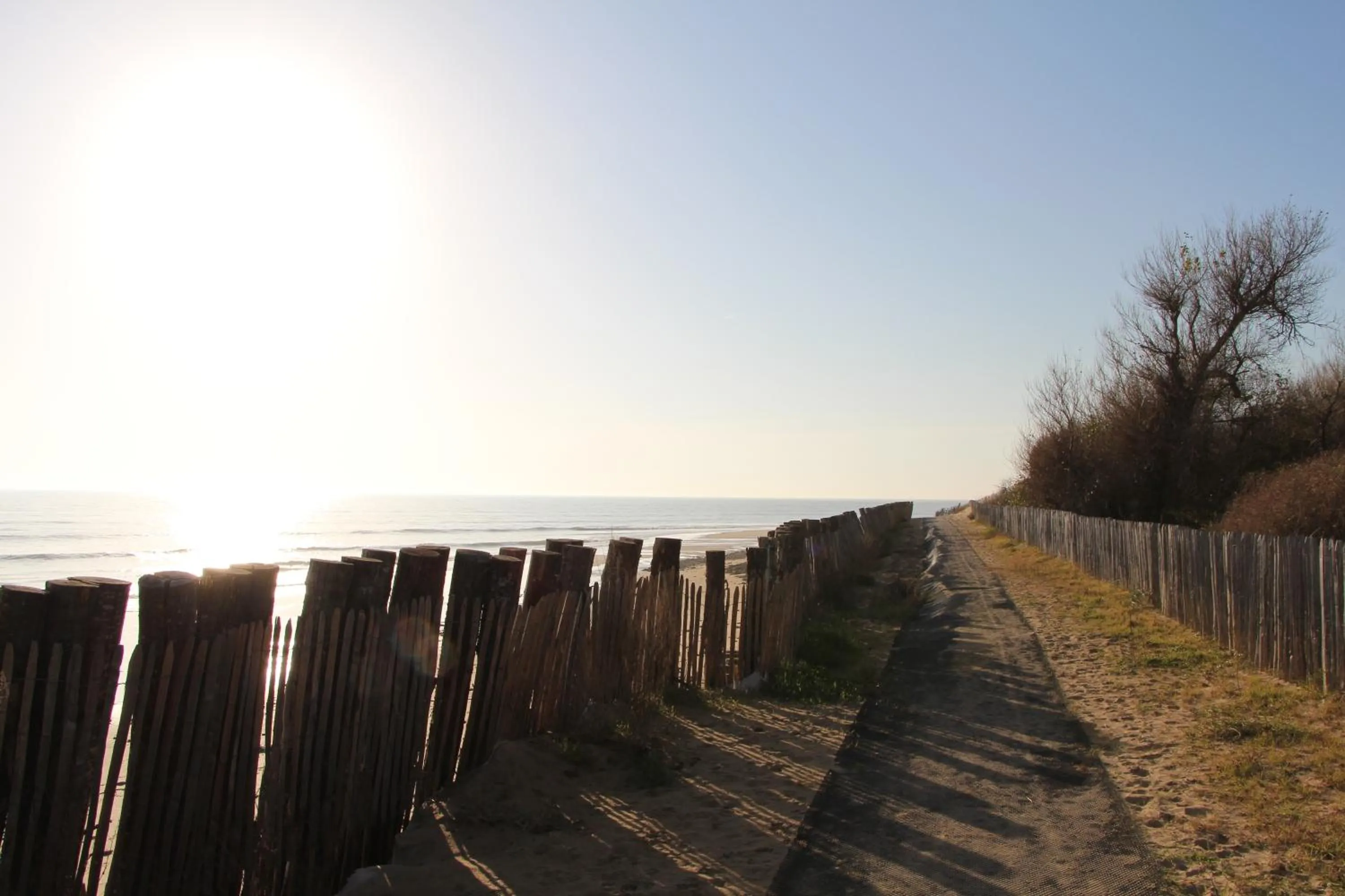 Day in Au Petit Bonheur