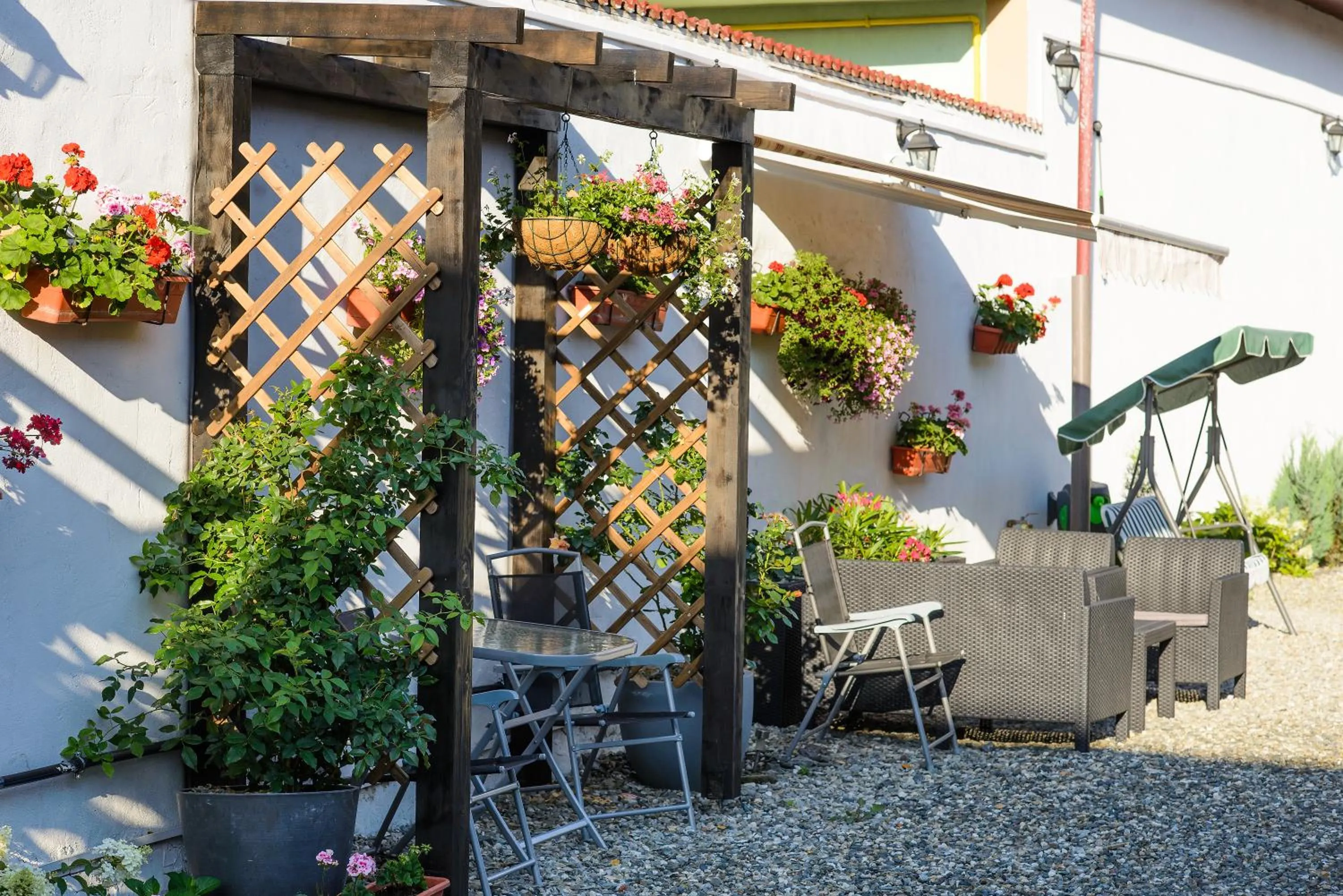 Garden in Pensiunea Alina "Adults Only"