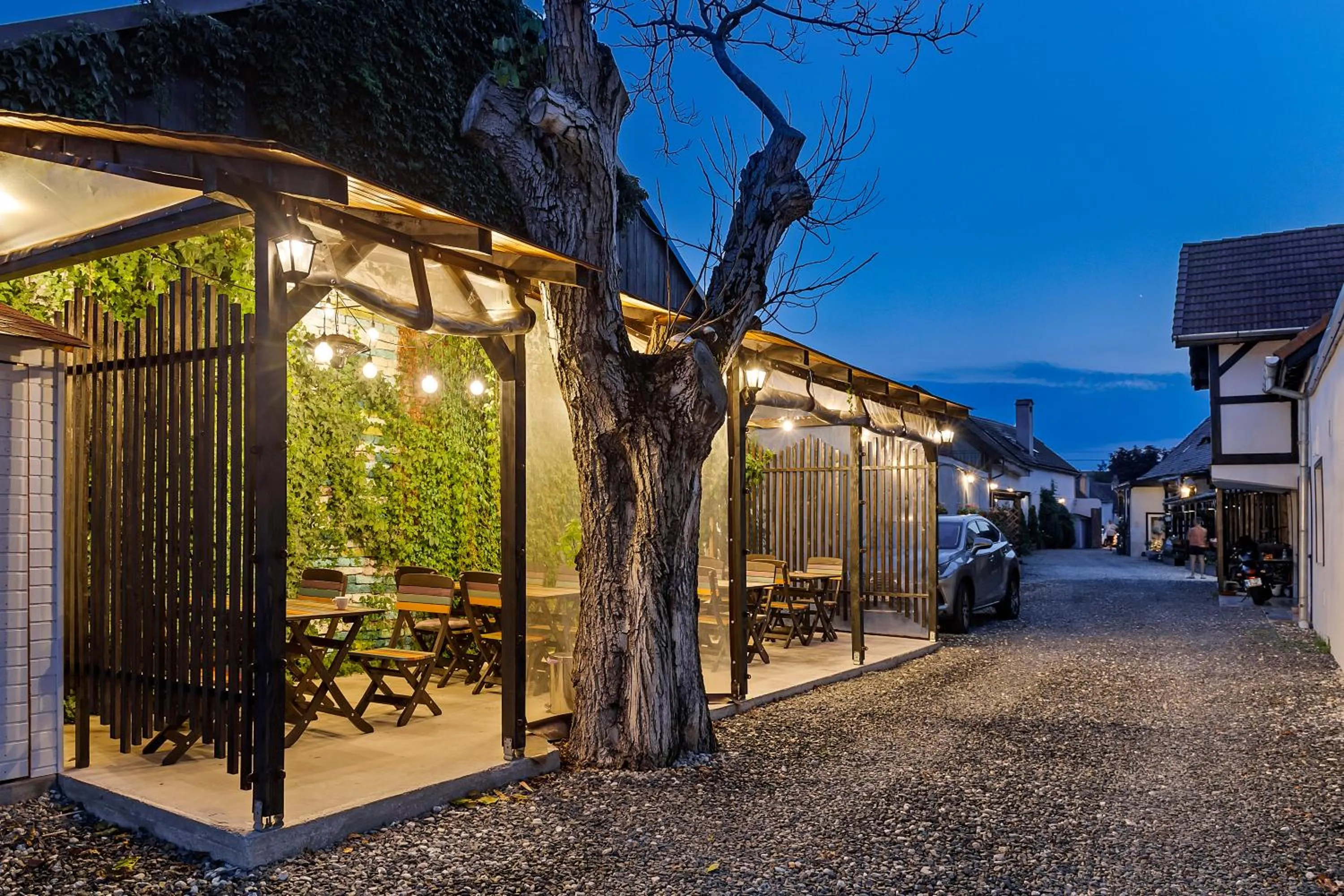 Balcony/Terrace in Pensiunea Alina "Adults Only"