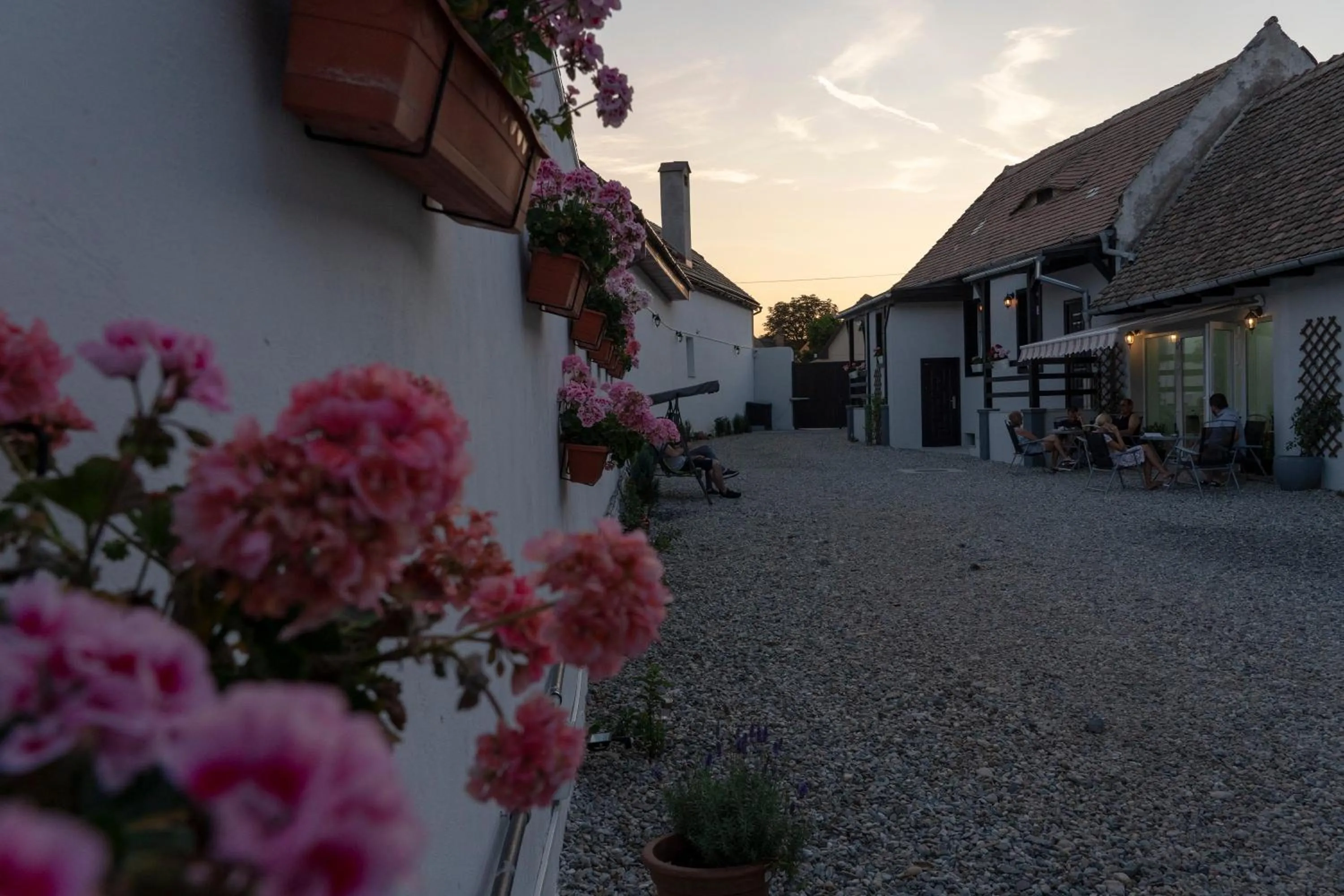 Decorative detail in Pensiunea Alina "Adults Only"