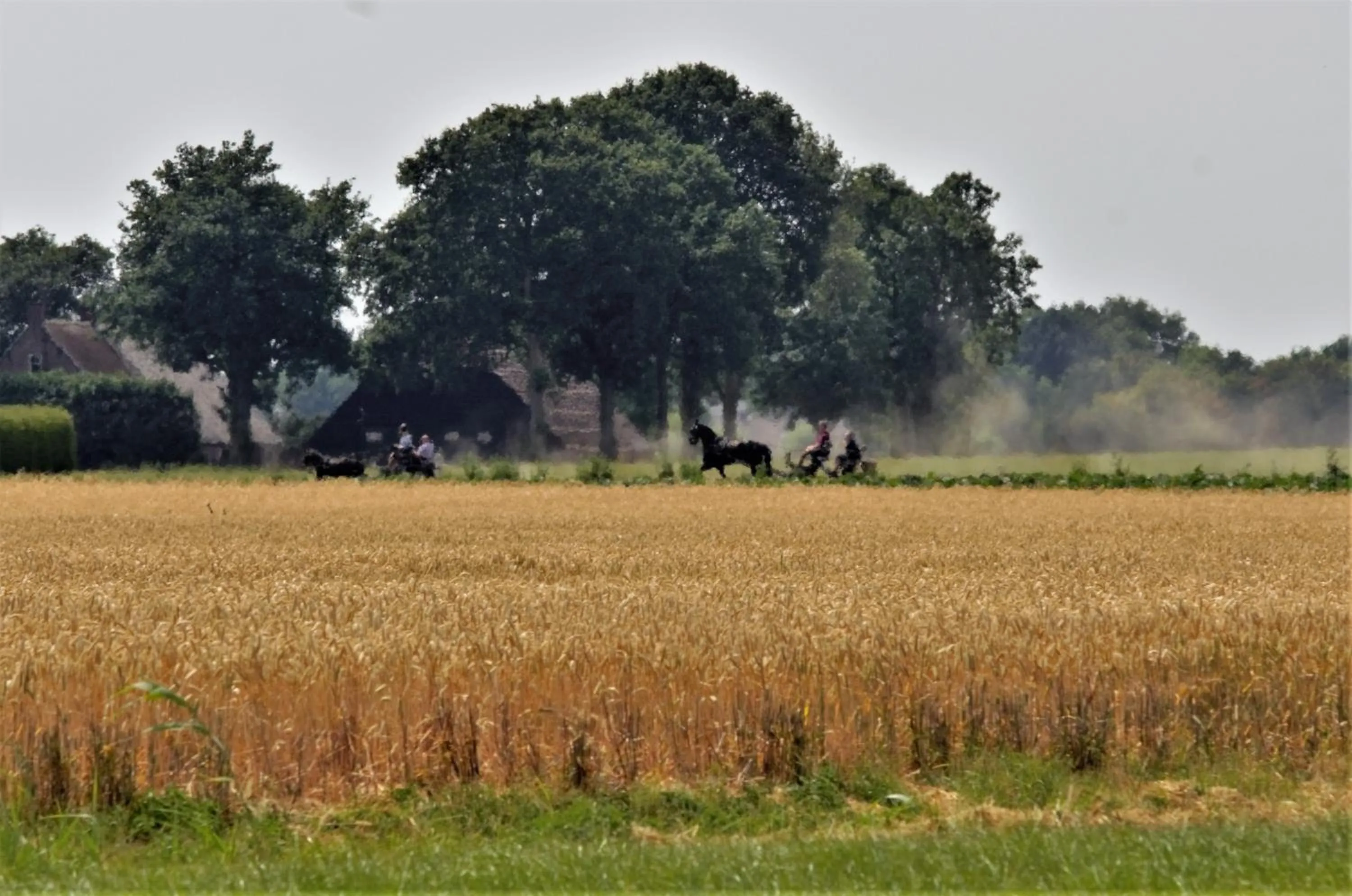 Bed and breakfast Wouw