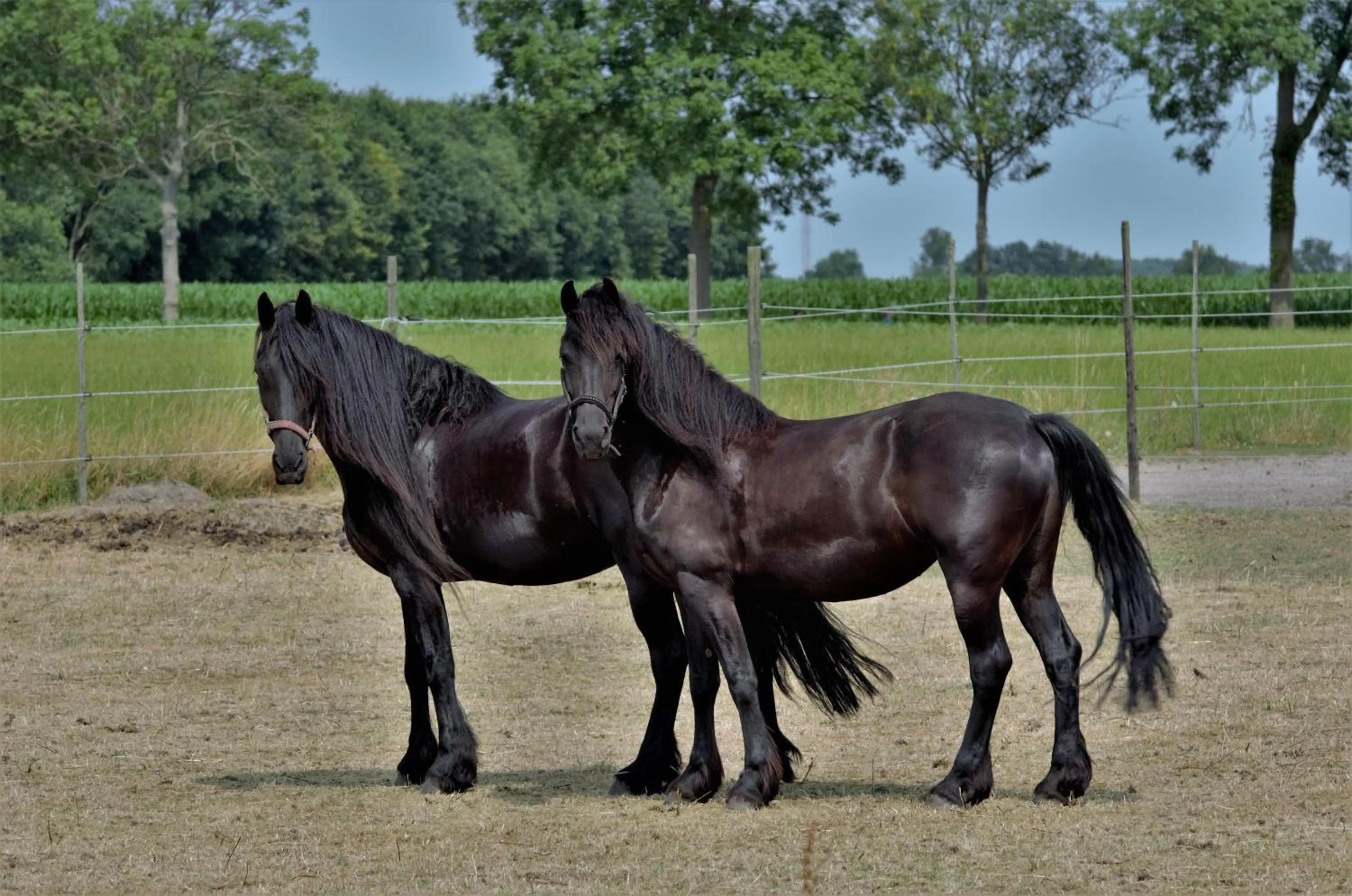 Bed and breakfast Wouw