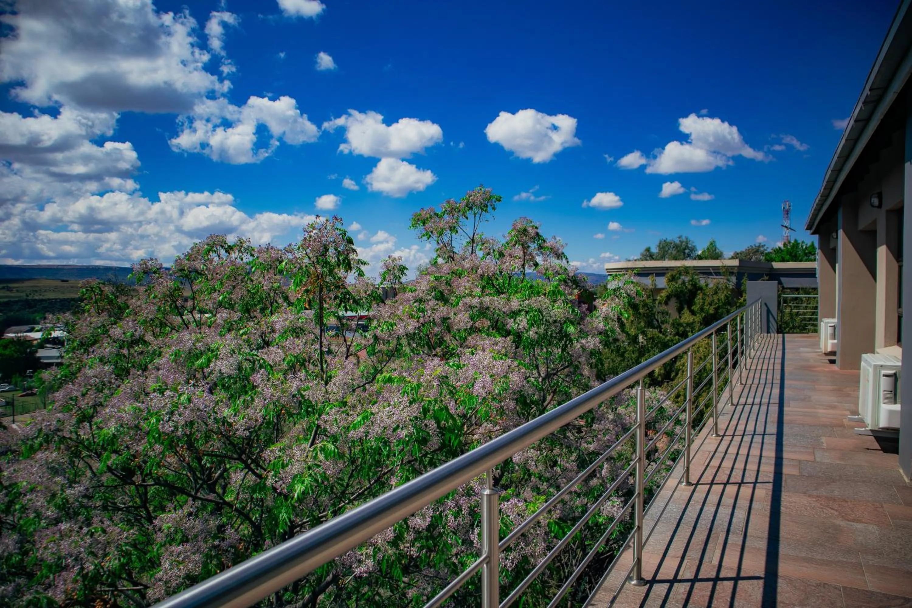 Natural landscape in Noble Hearts Bed & Breakfast