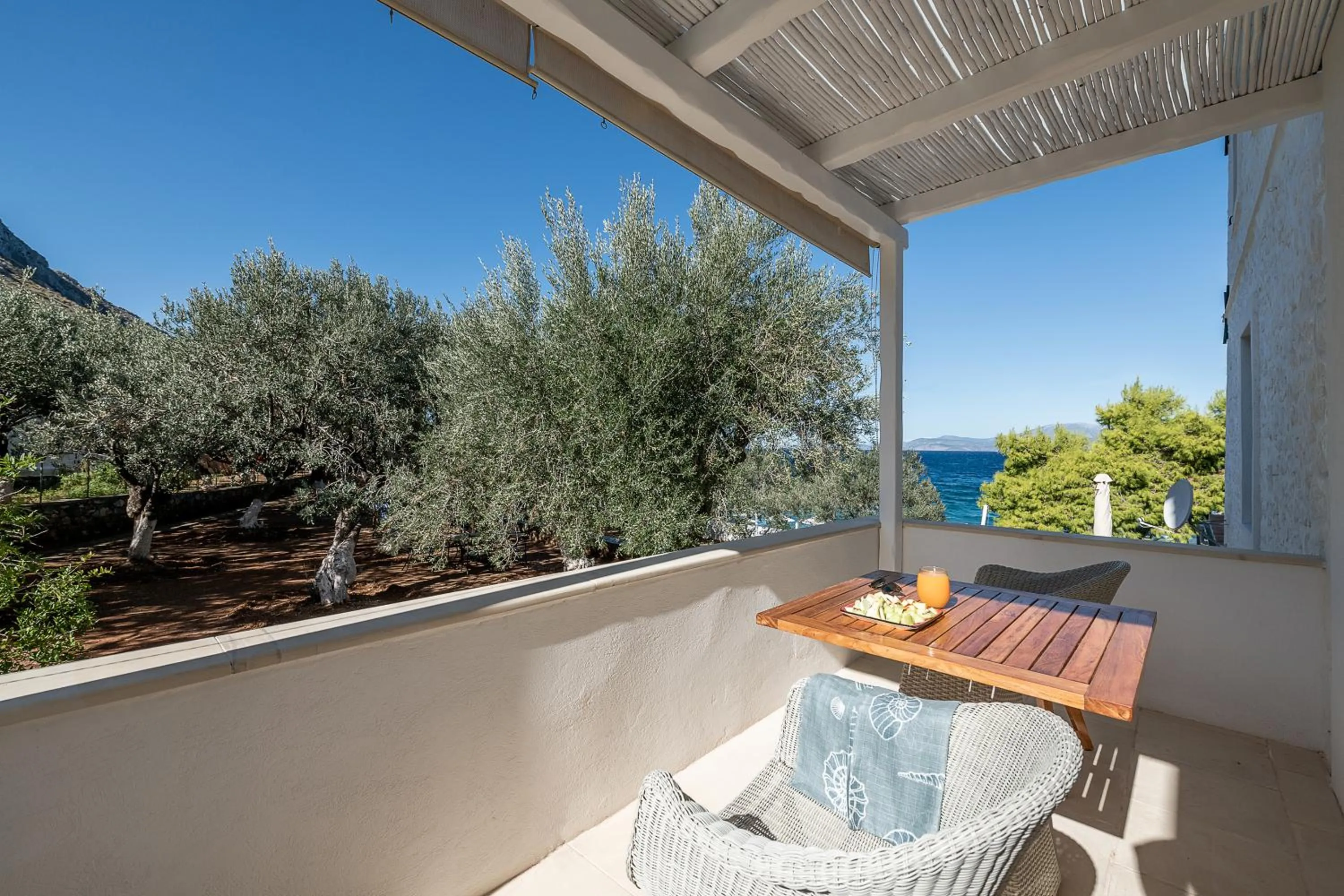 Patio in Bellevalia Hydra