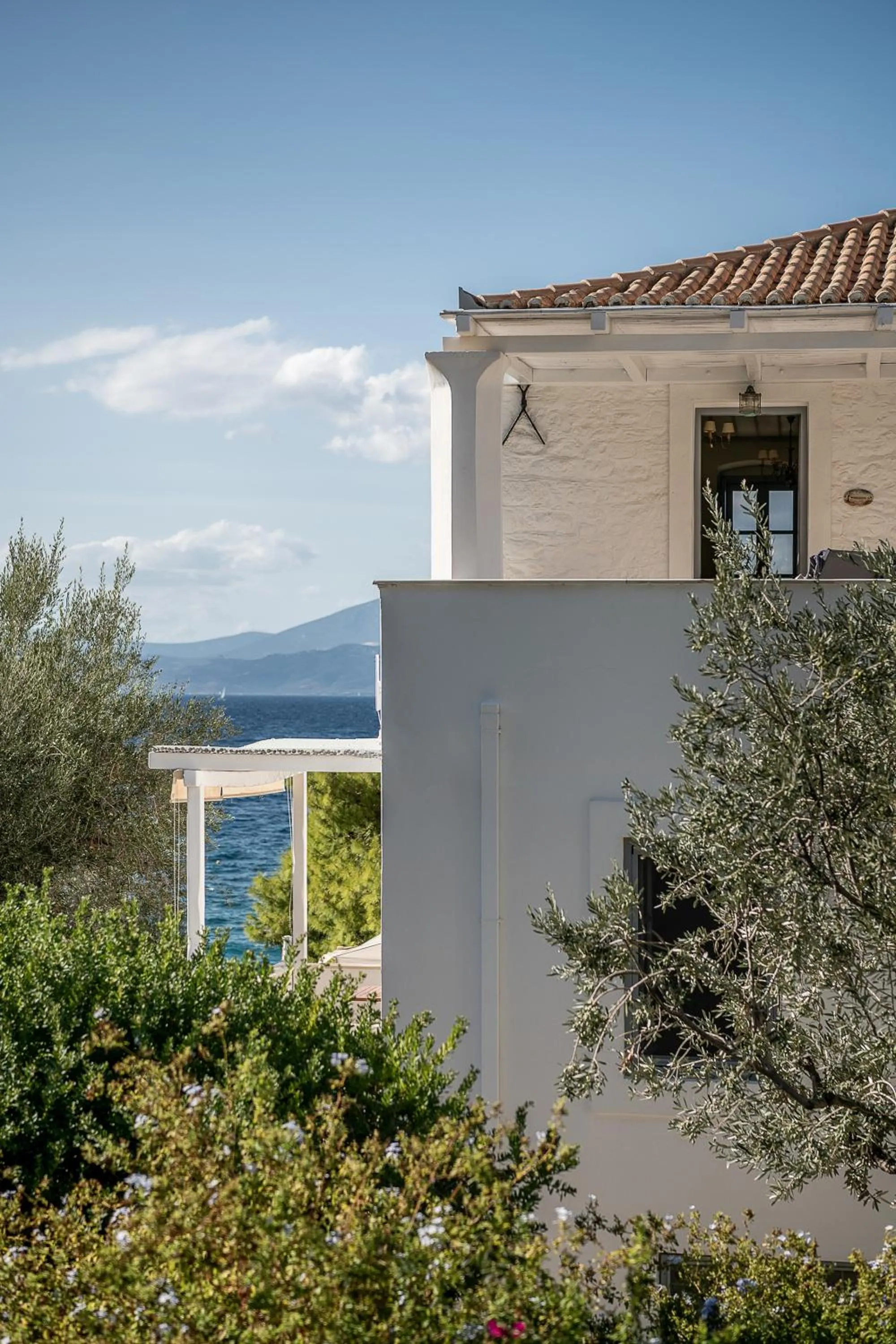 Property building in Bellevalia Hydra