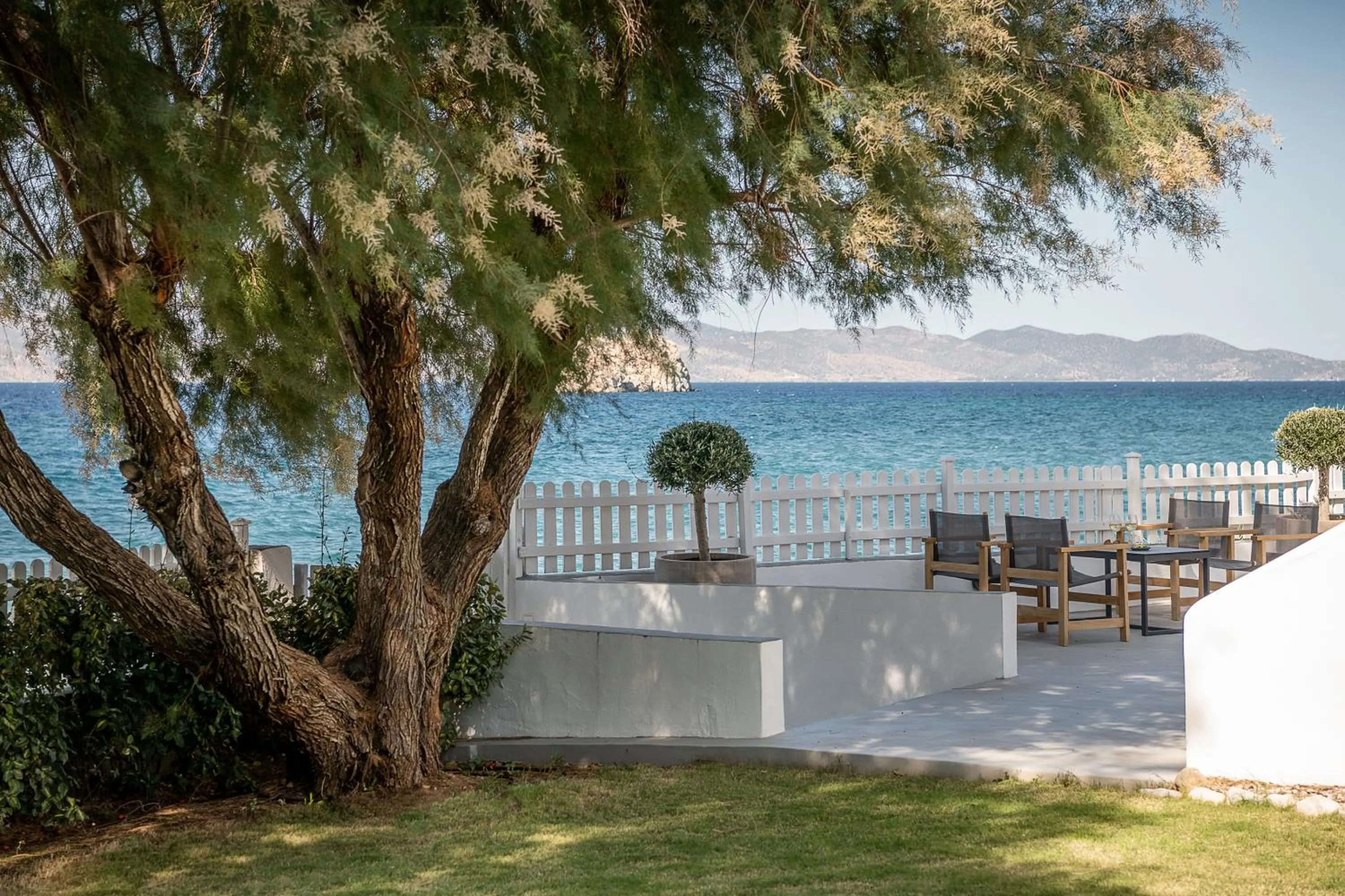 Patio in Bellevalia Hydra