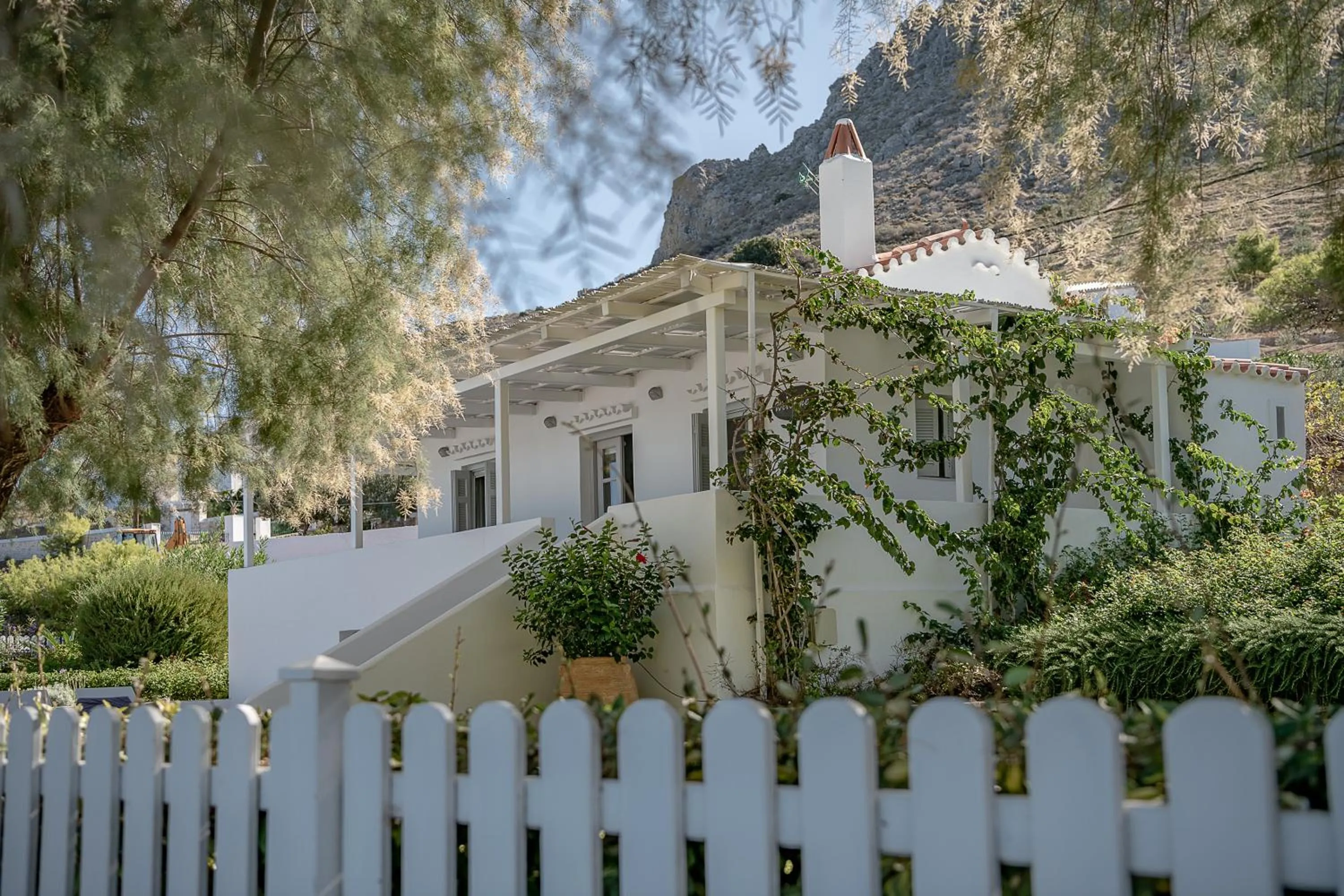 Photo of the whole room in Bellevalia Hydra