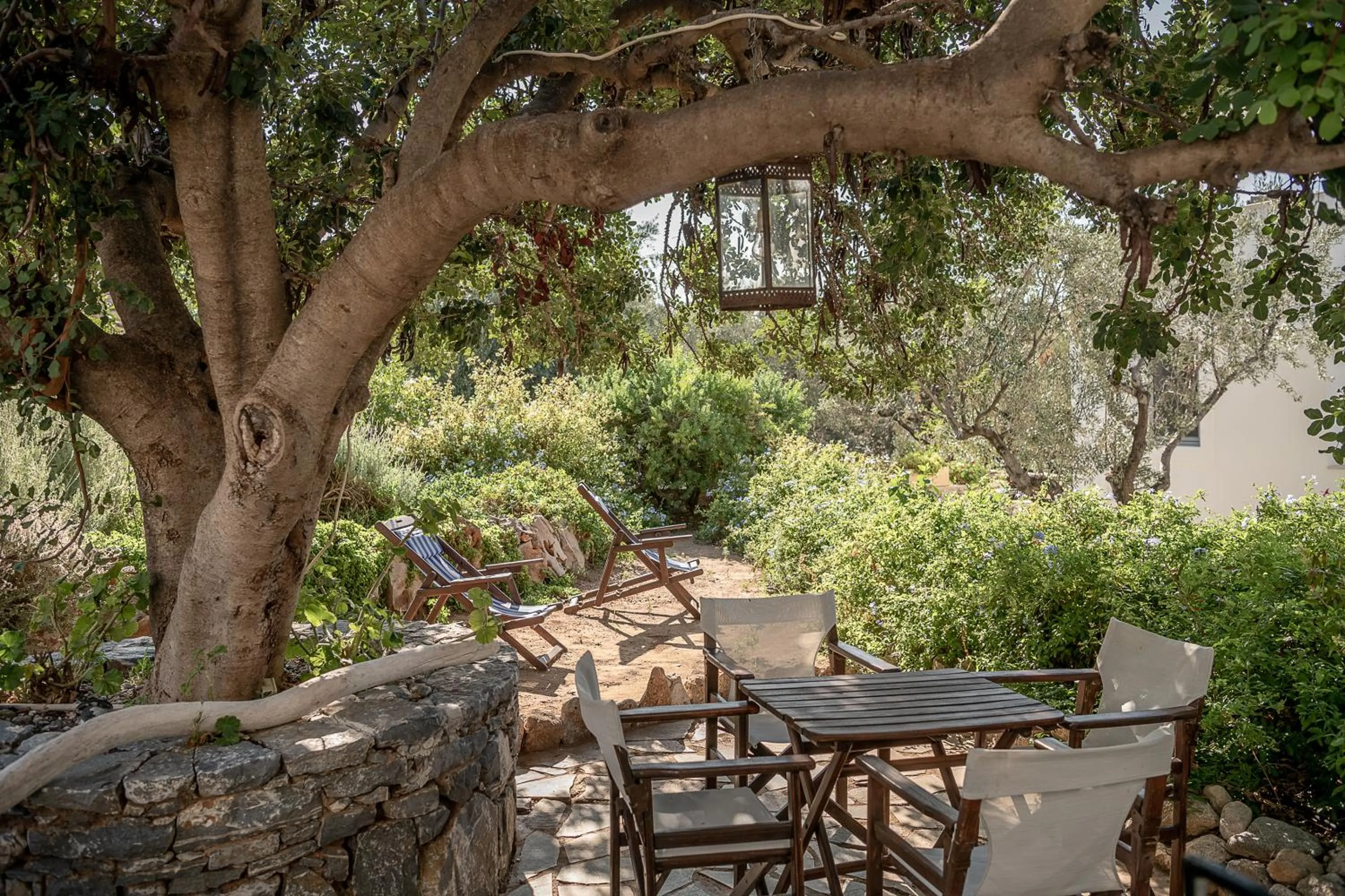 Garden in Bellevalia Hydra