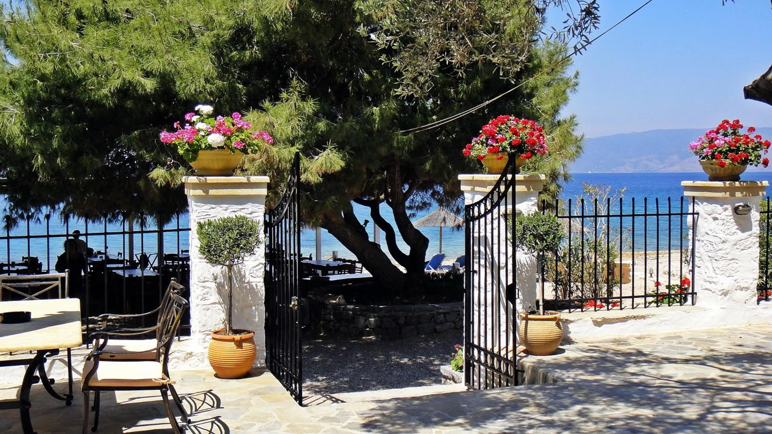 Patio in Bellevalia Hydra