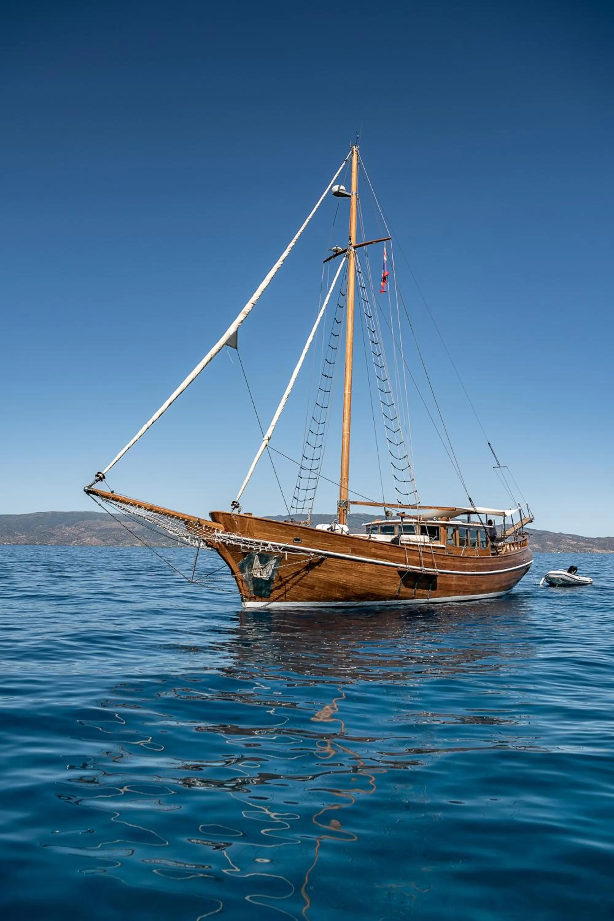 Activities in Bellevalia Hydra