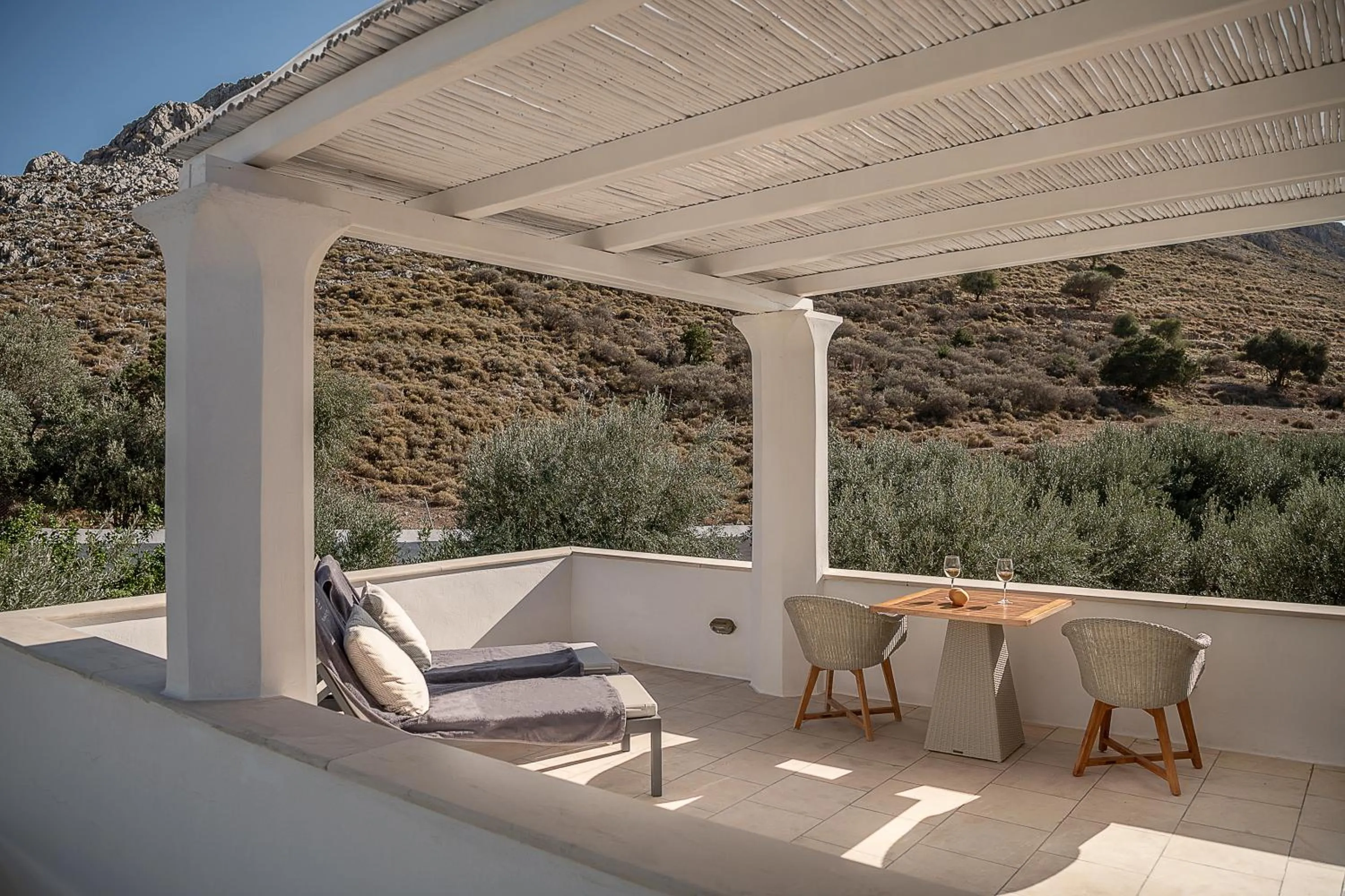 Patio in Bellevalia Hydra