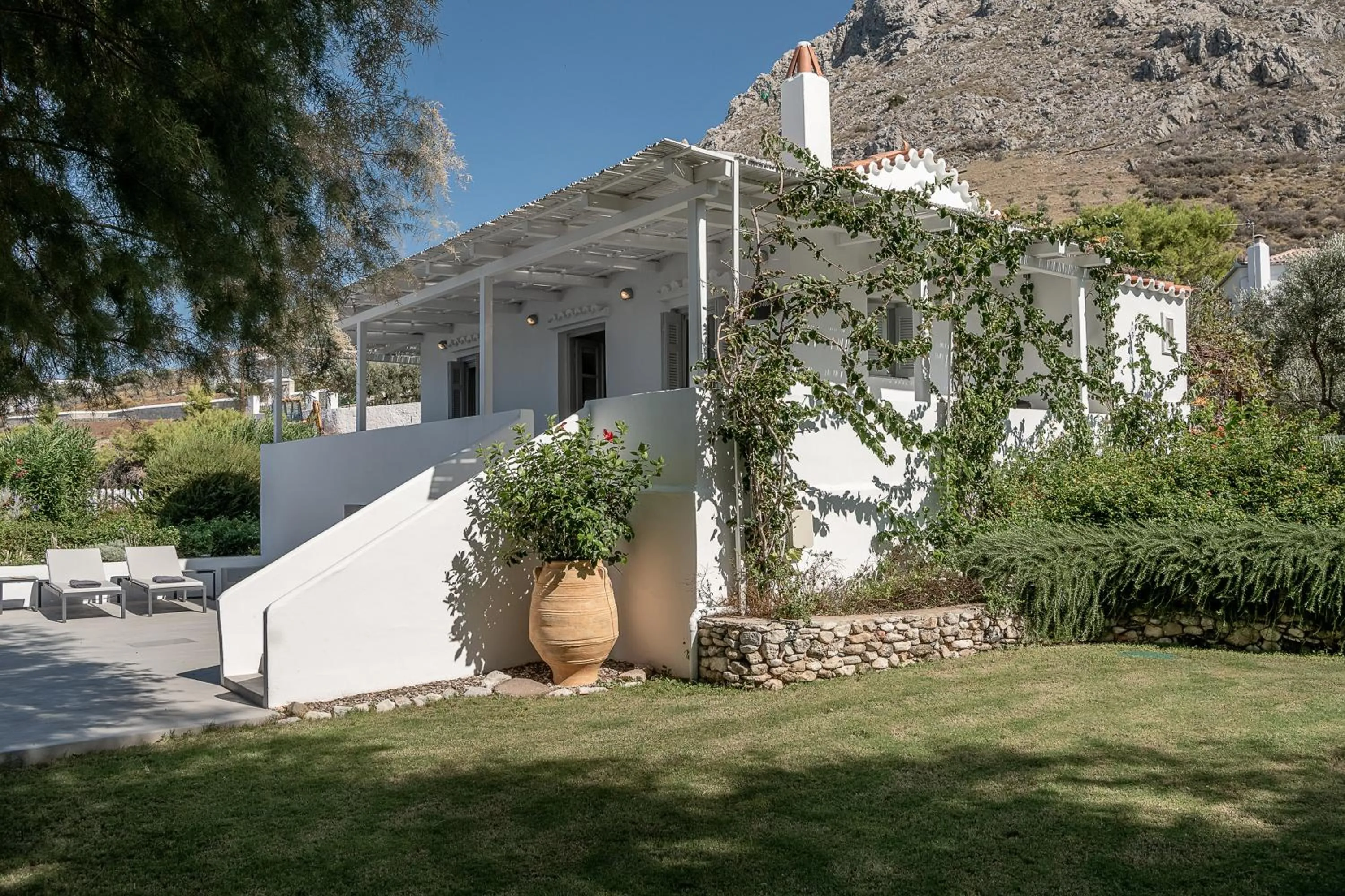 Garden in Bellevalia Hydra