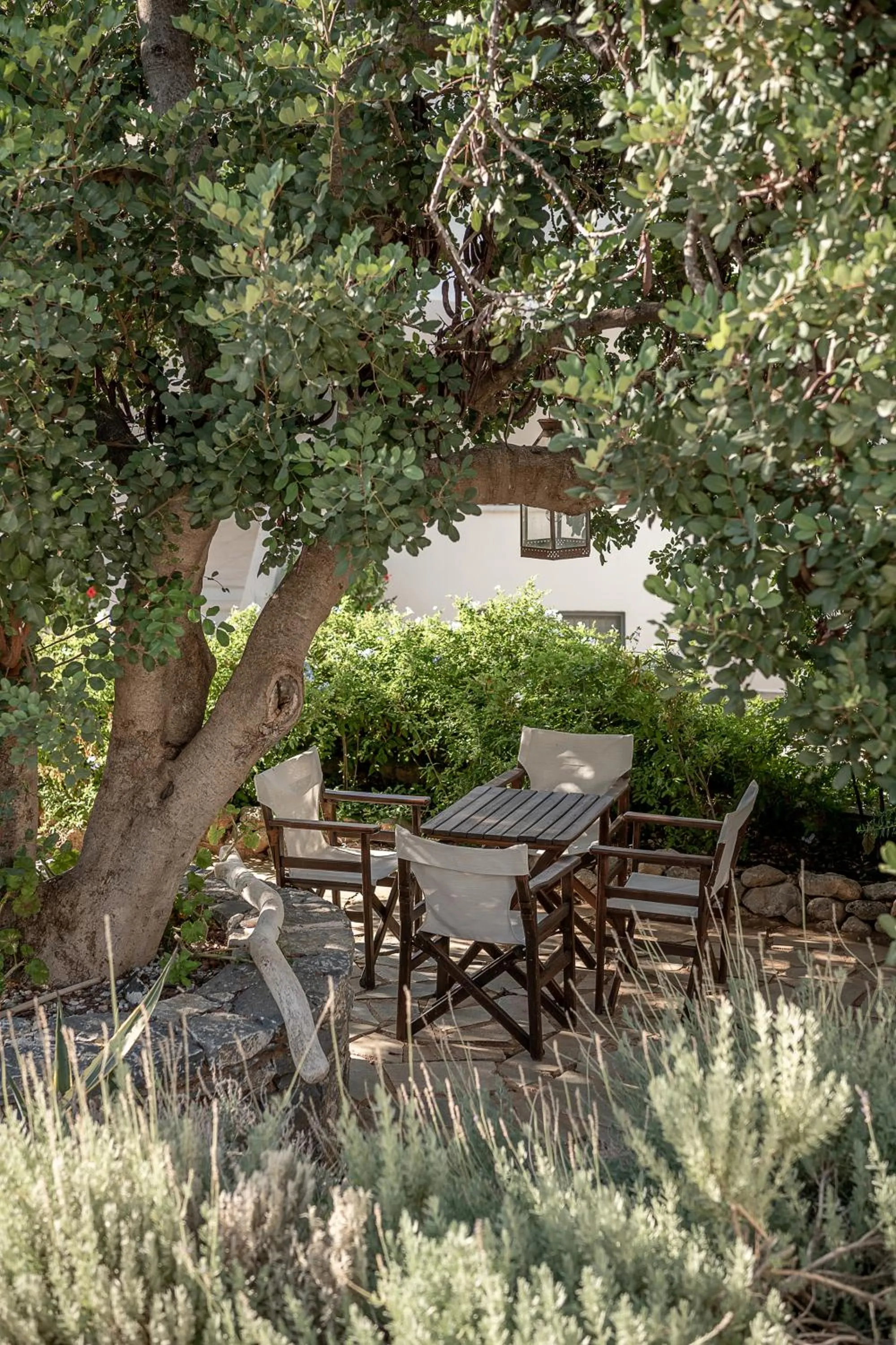 Garden in Bellevalia Hydra