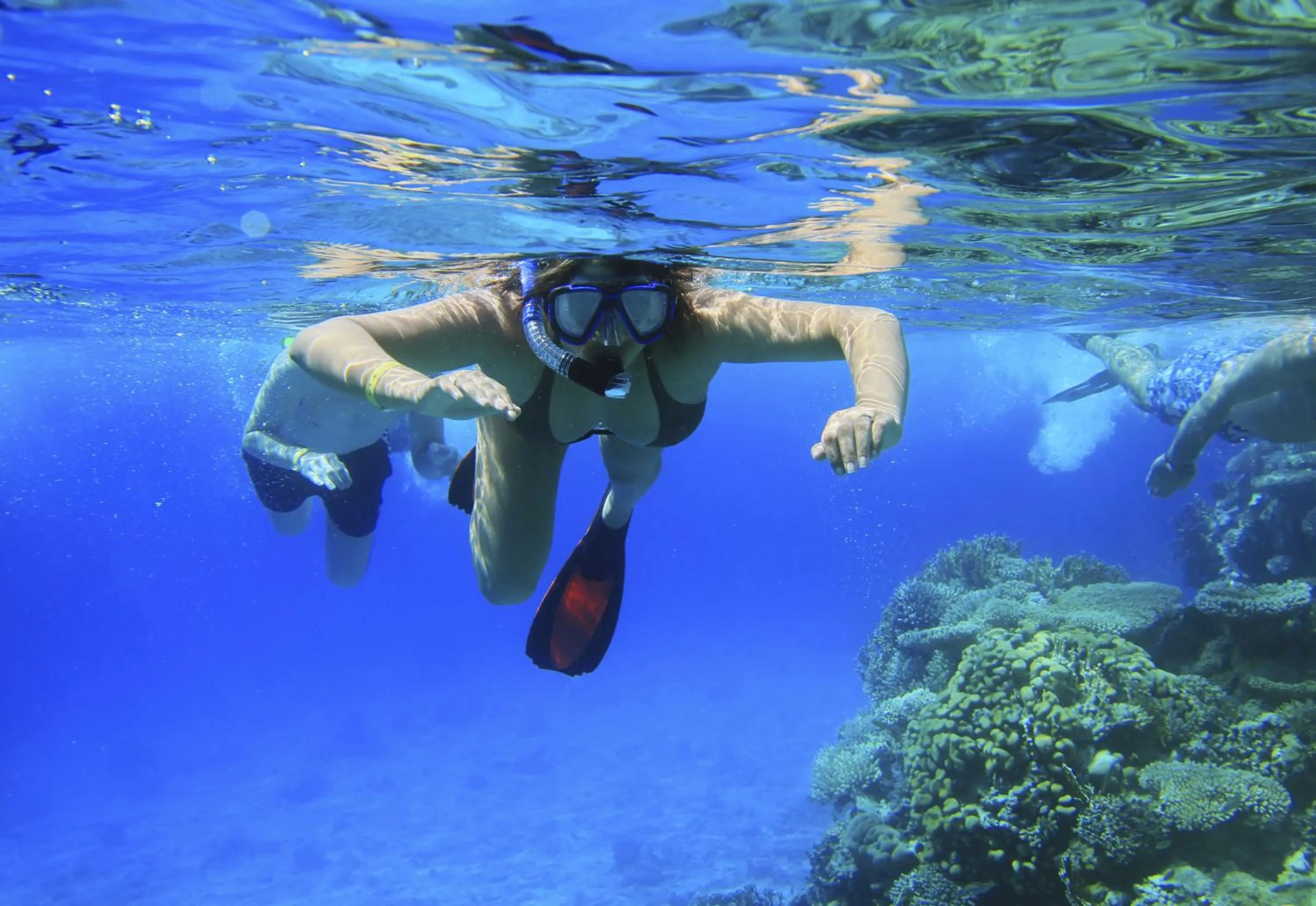 Snorkeling in U Coral Beach Club Eilat – Ultra All inclusive