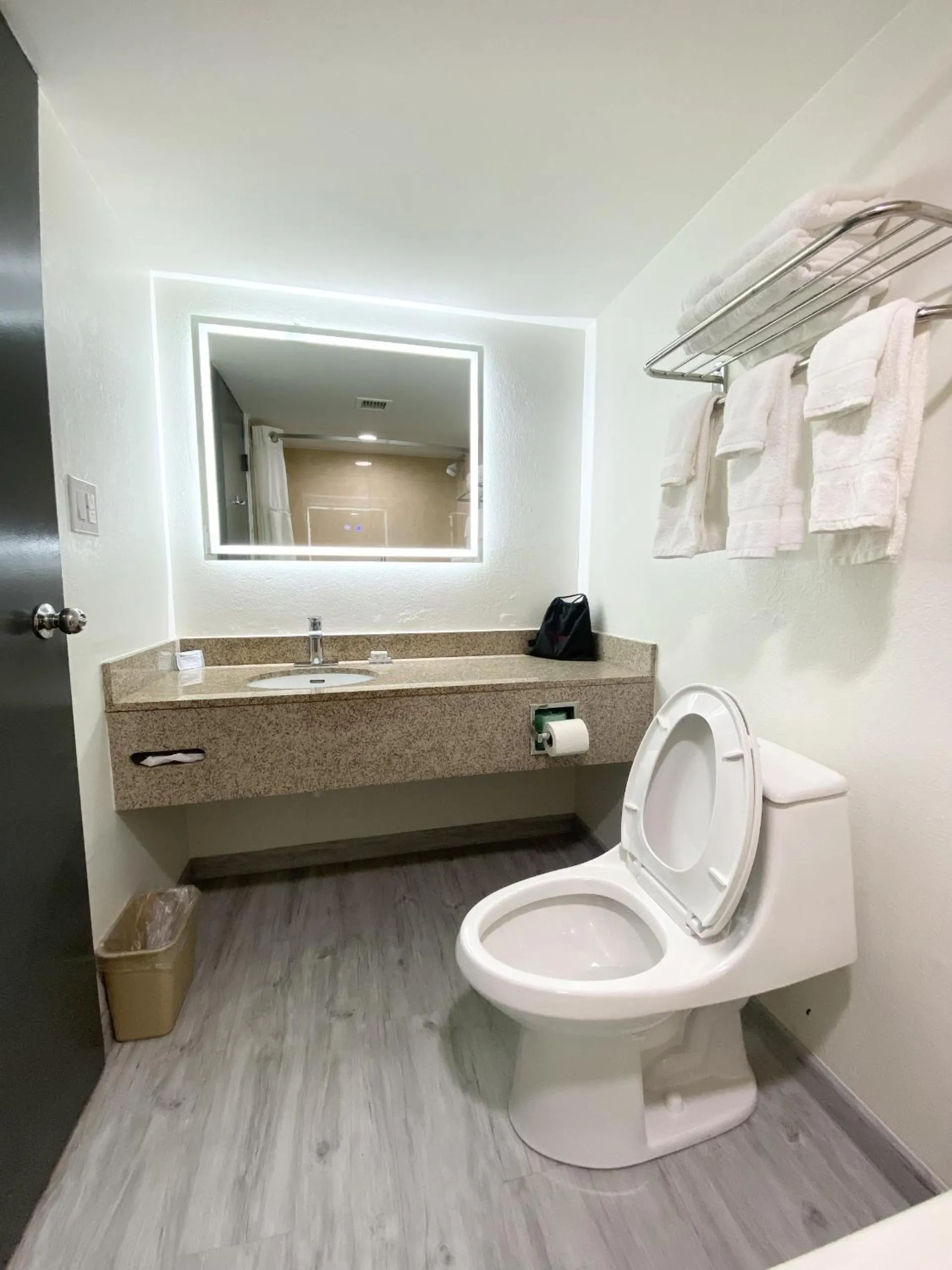 Toilet in Ramada by Wyndham Tuscaloosa