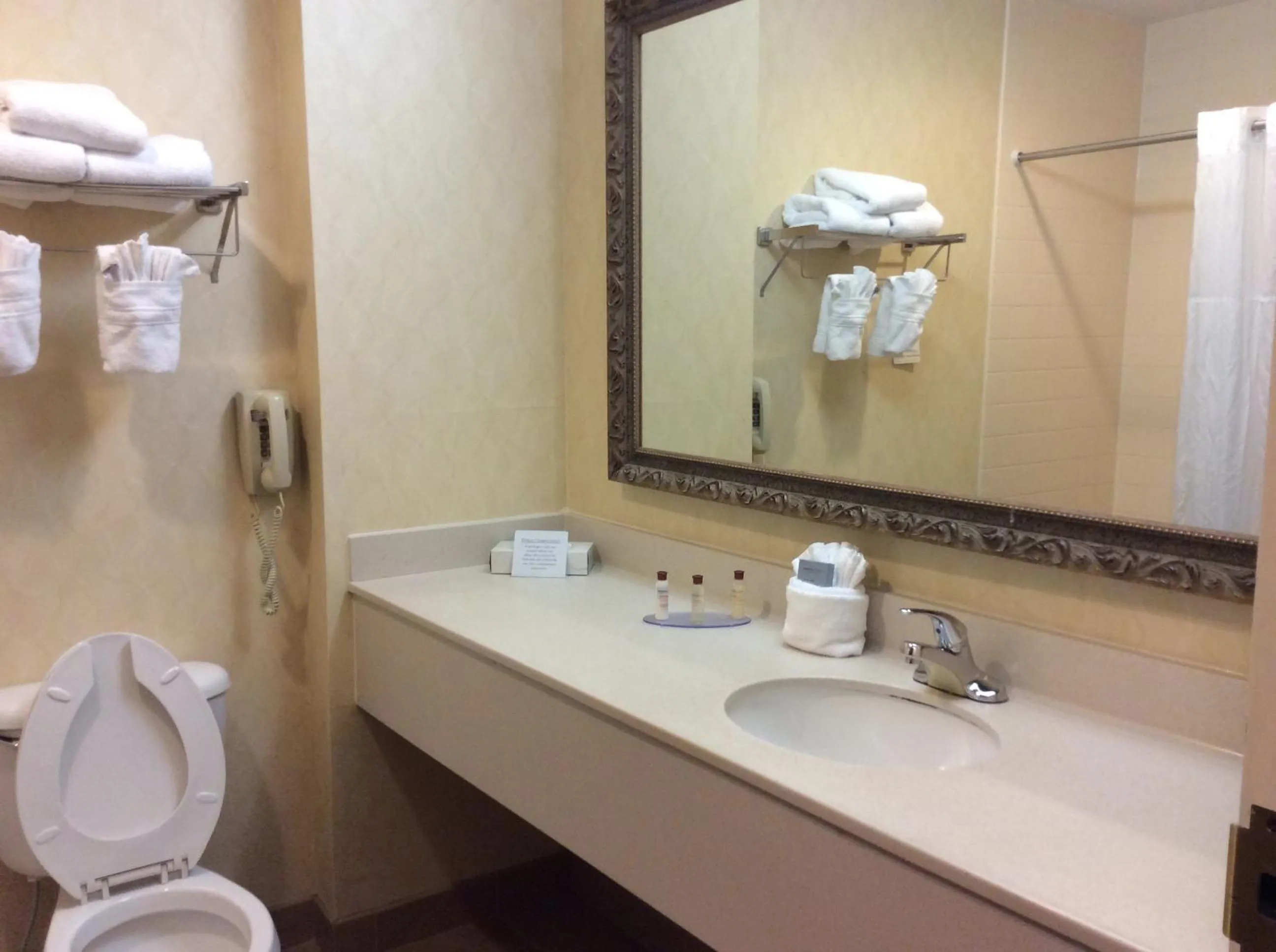 Bathroom in Wingate by Wyndham High Point Greensboro Airport South