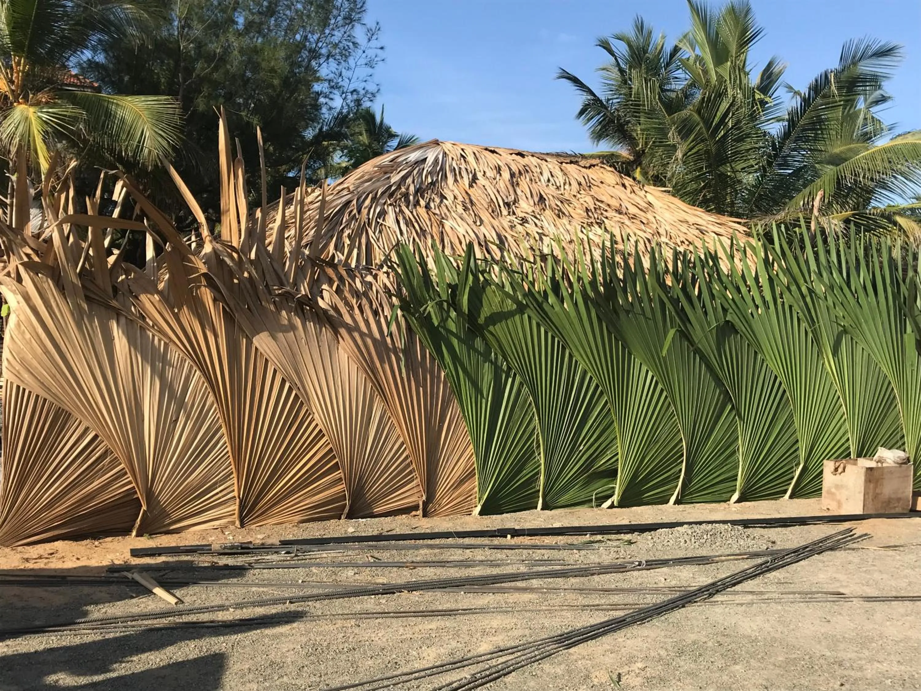 Natural landscape in Royal Beach