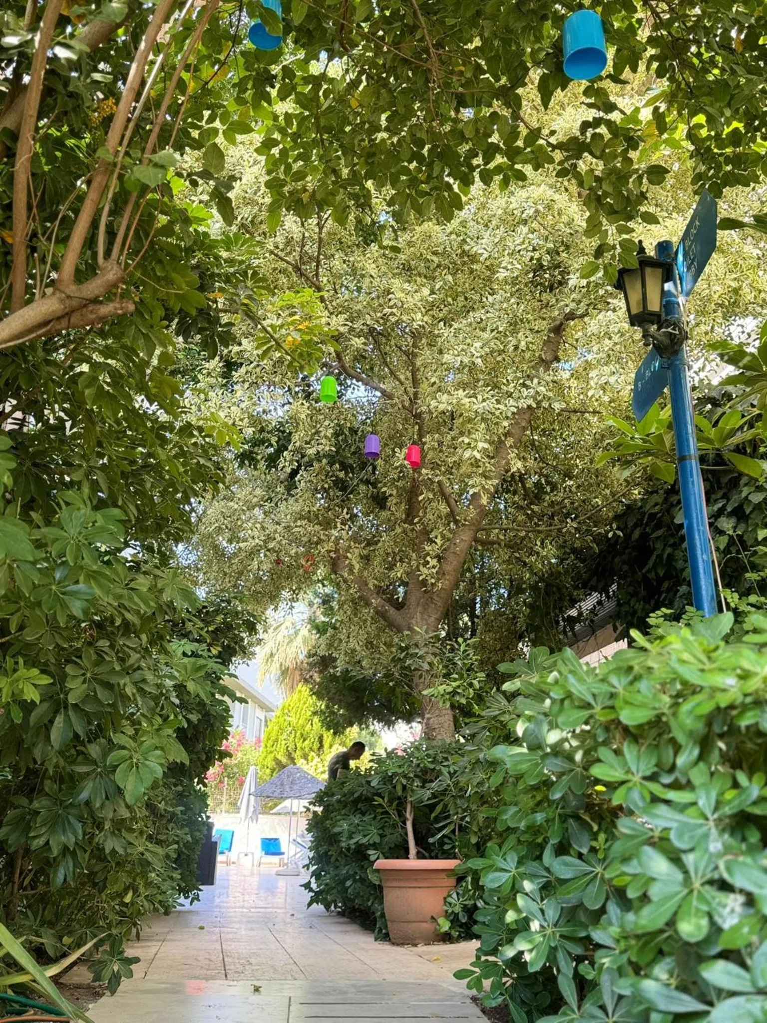 Garden in Navy Hotel